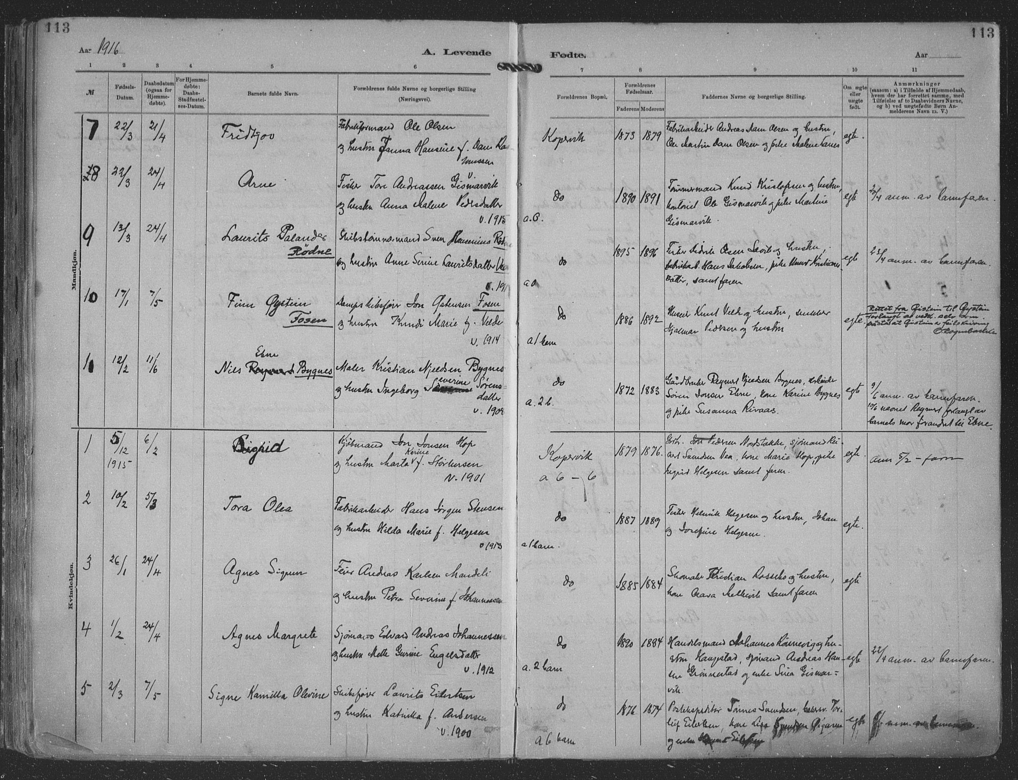 Kopervik sokneprestkontor, SAST/A-101850/H/Ha/Haa/L0001: Parish register (official) no. A 1, 1880-1919, p. 113