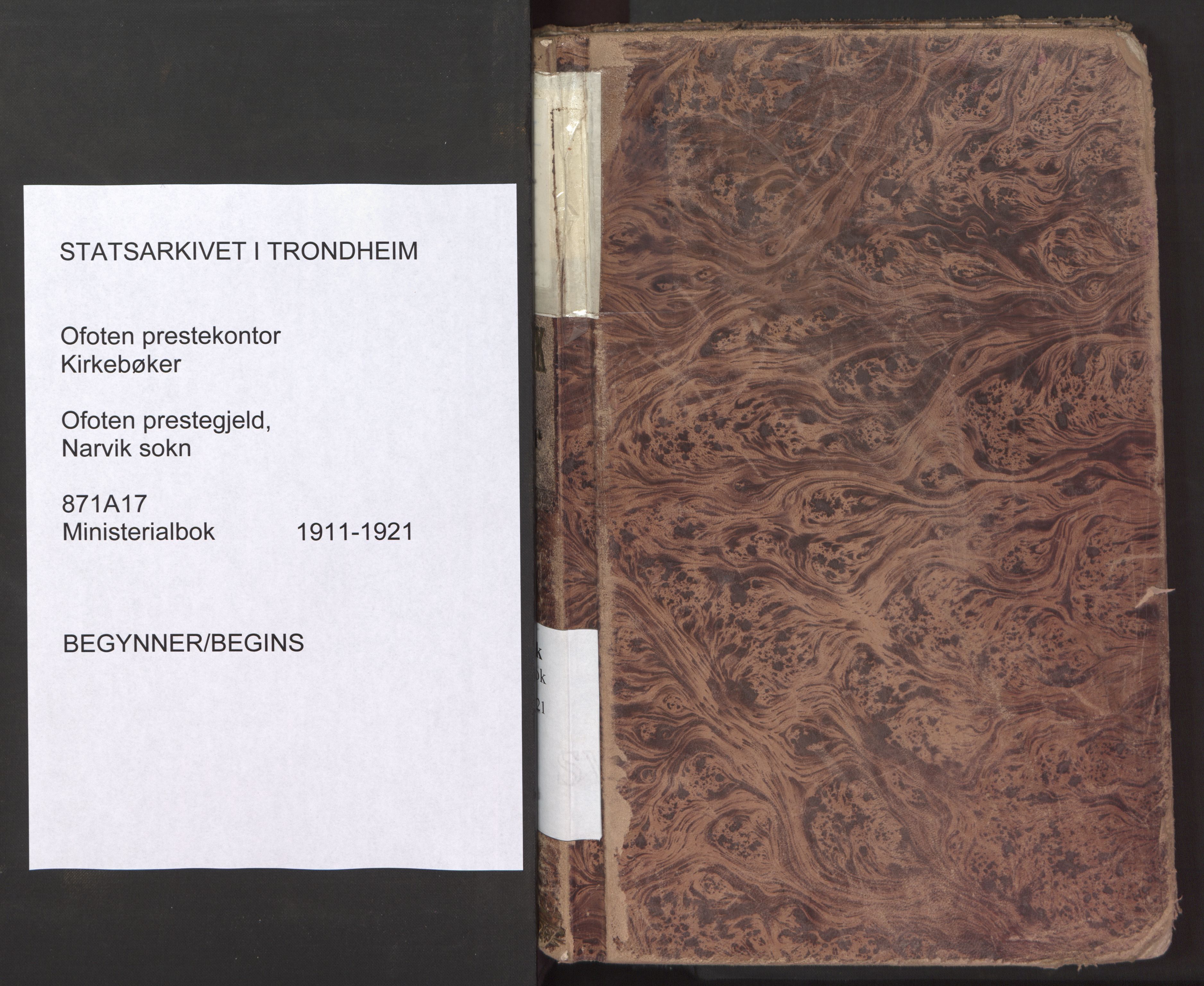 Ministerialprotokoller, klokkerbøker og fødselsregistre - Nordland, SAT/A-1459/871/L1001: Parish register (official) no. 871A17, 1911-1921