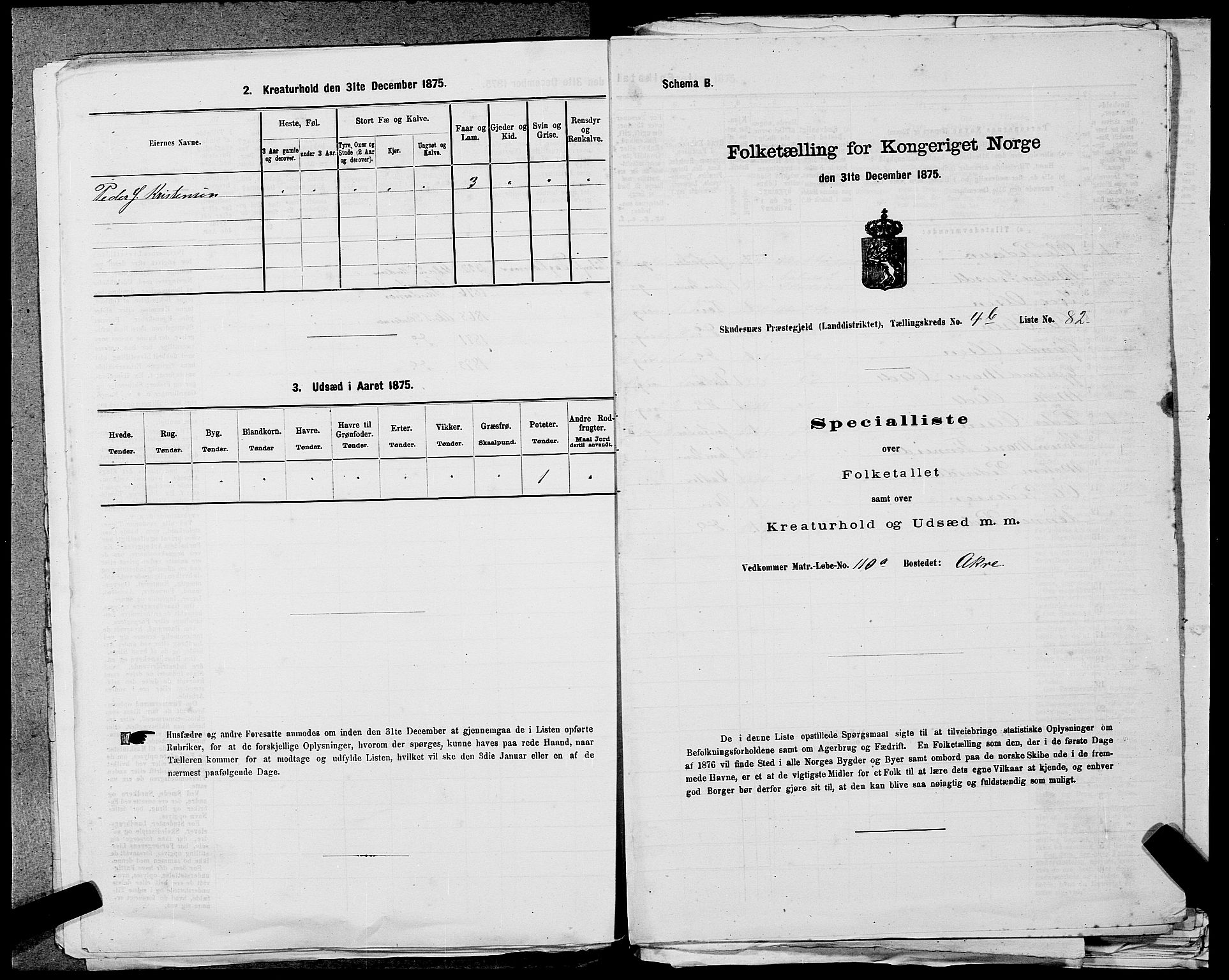 SAST, 1875 census for 1150L Skudenes/Falnes, Åkra og Ferkingstad, 1875, p. 562