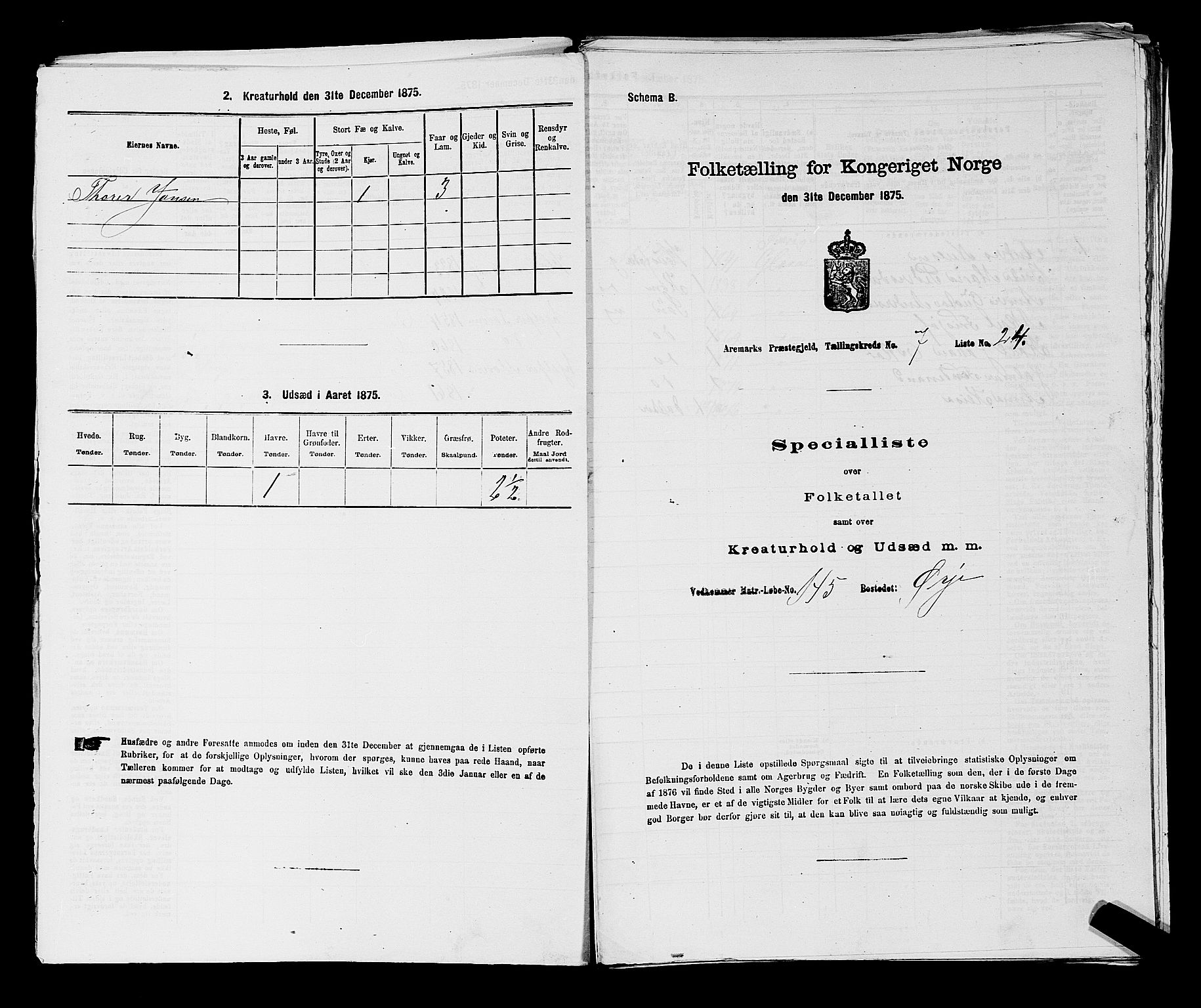 RA, 1875 census for 0118P Aremark, 1875, p. 1030