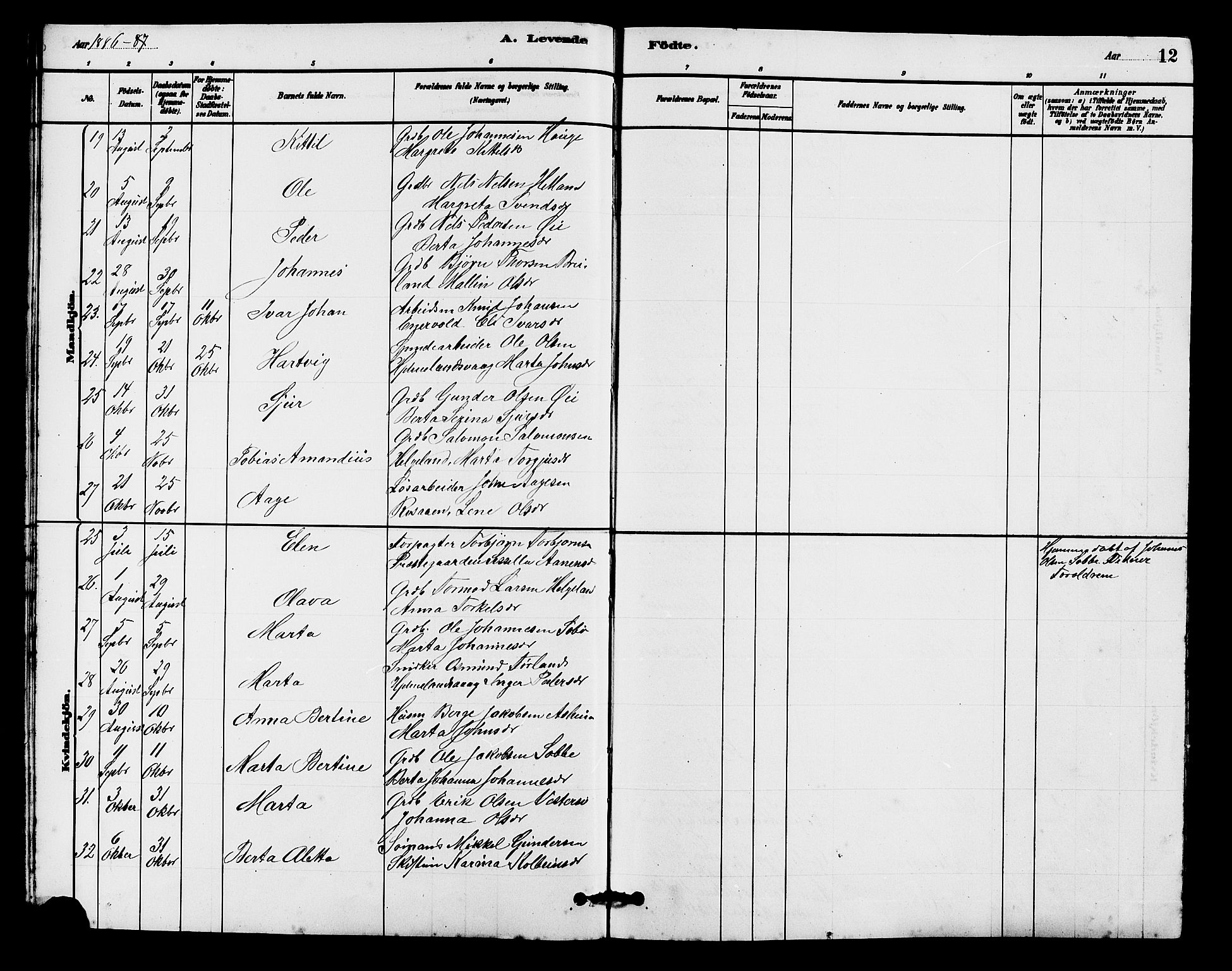 Hjelmeland sokneprestkontor, AV/SAST-A-101843/01/V/L0007: Parish register (copy) no. B 7, 1880-1909, p. 12