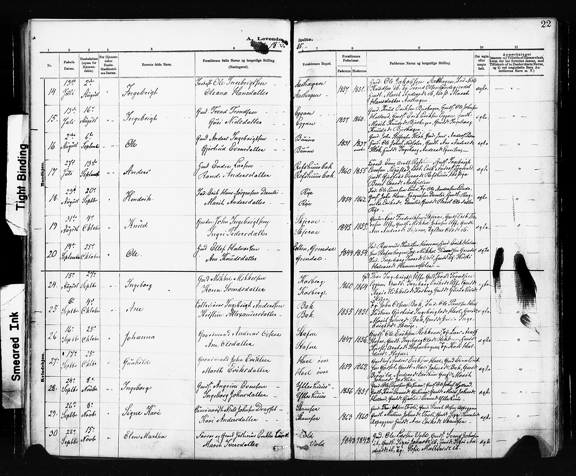 Ministerialprotokoller, klokkerbøker og fødselsregistre - Sør-Trøndelag, SAT/A-1456/674/L0871: Parish register (official) no. 674A03, 1880-1896, p. 22