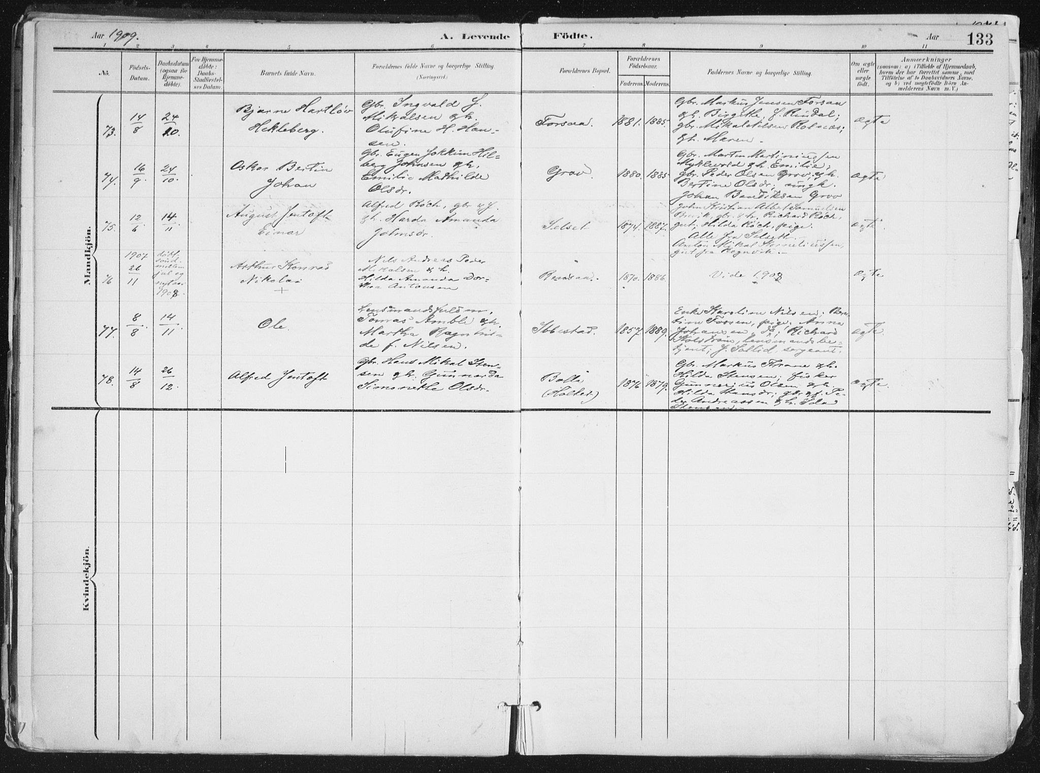 Ibestad sokneprestembete, AV/SATØ-S-0077/H/Ha/Haa/L0017kirke: Parish register (official) no. 17, 1901-1914, p. 133