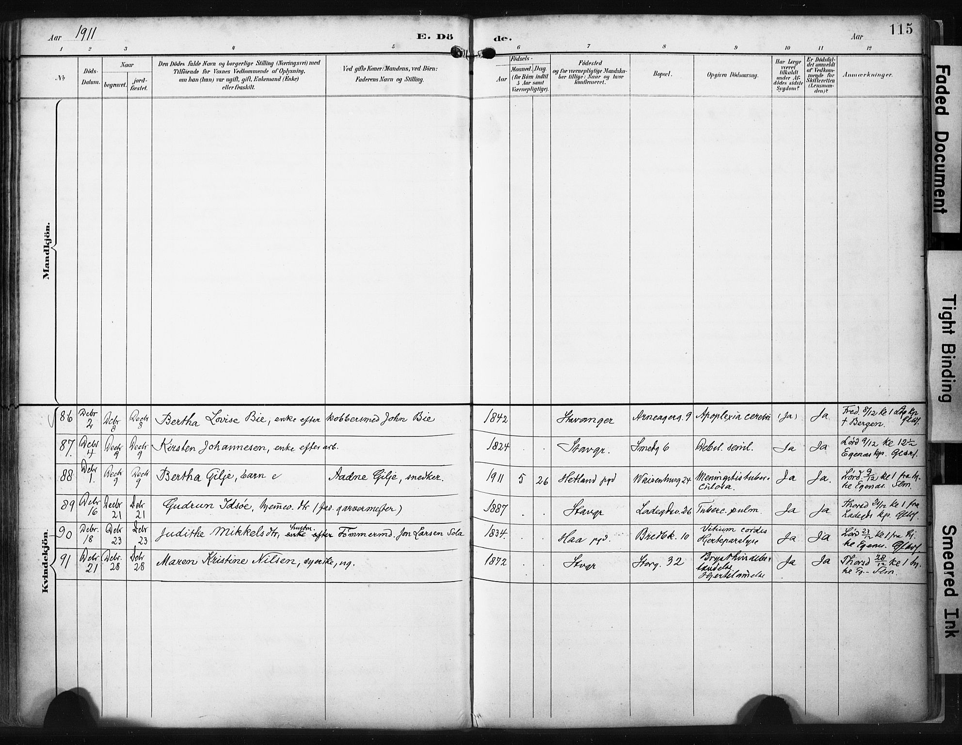 St. Petri sokneprestkontor, AV/SAST-A-101813/001/30/30BA/L0022: Parish register (official) no. A 22, 1895-1919, p. 115