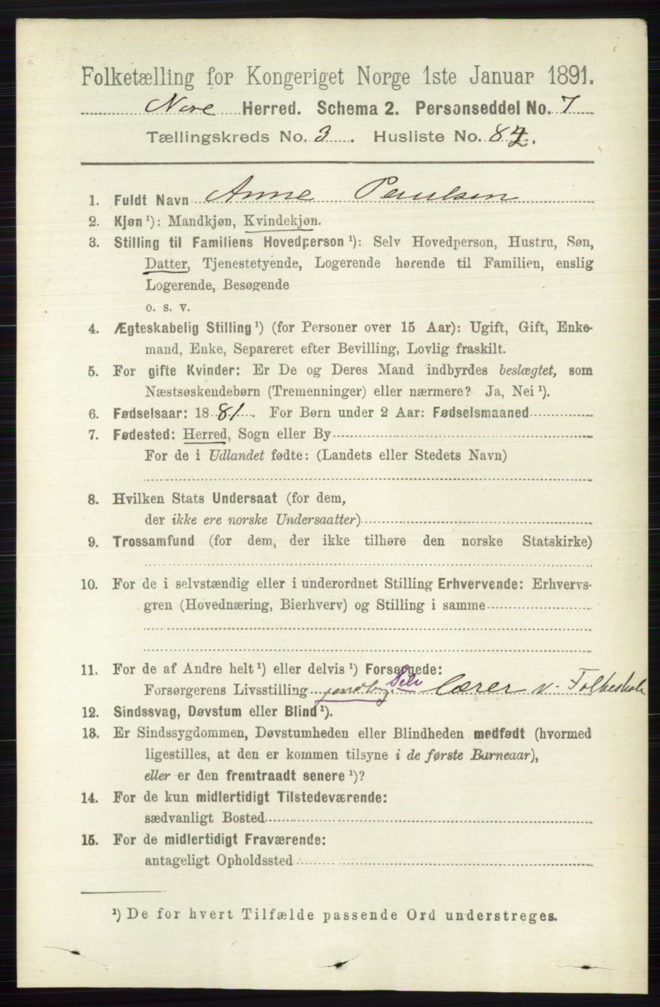 RA, 1891 census for 0633 Nore, 1891, p. 1207