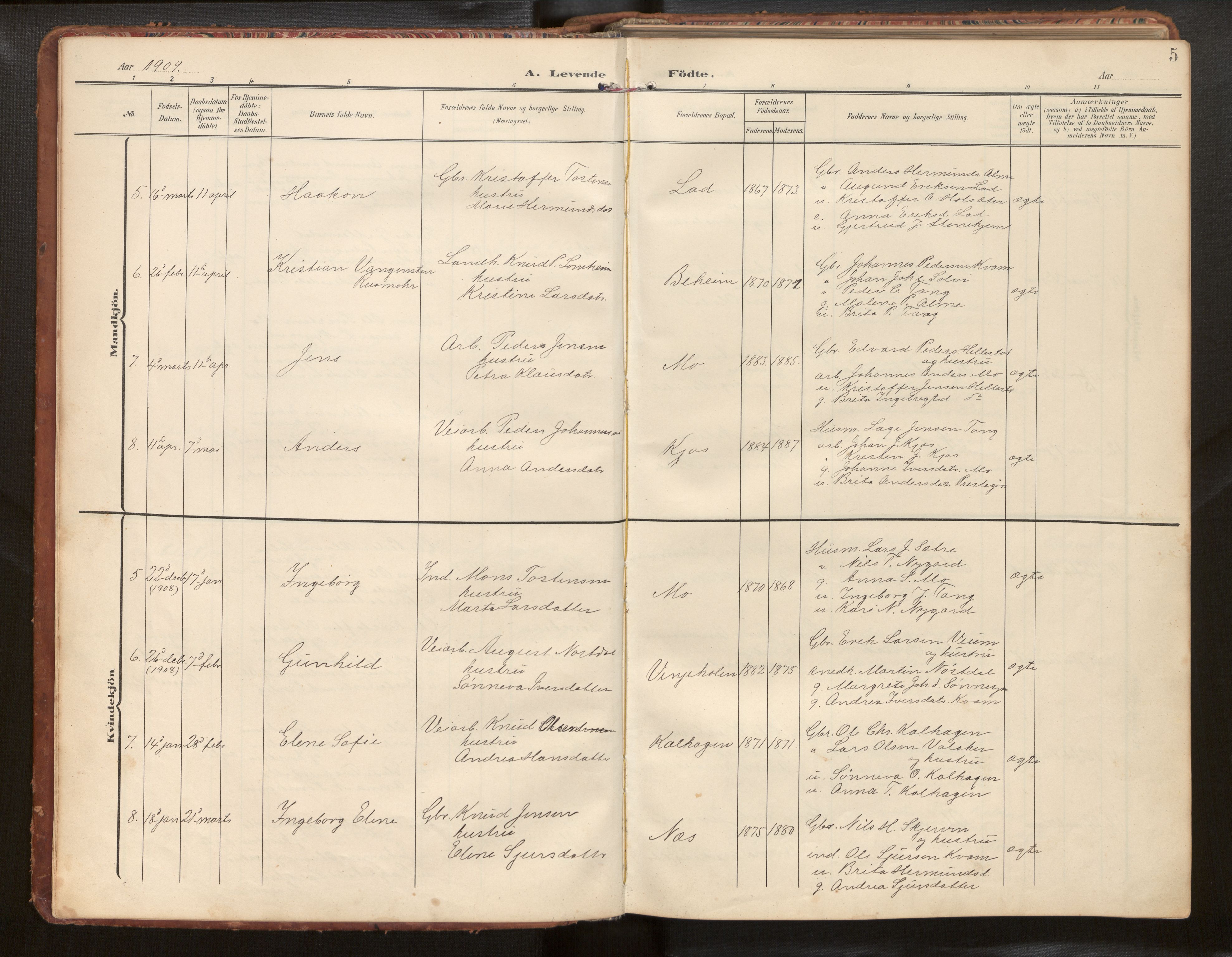 Hafslo sokneprestembete, SAB/A-80301/H/Hab/Habb/L0002: Parish register (copy) no. B 2, 1909-1947, p. 5