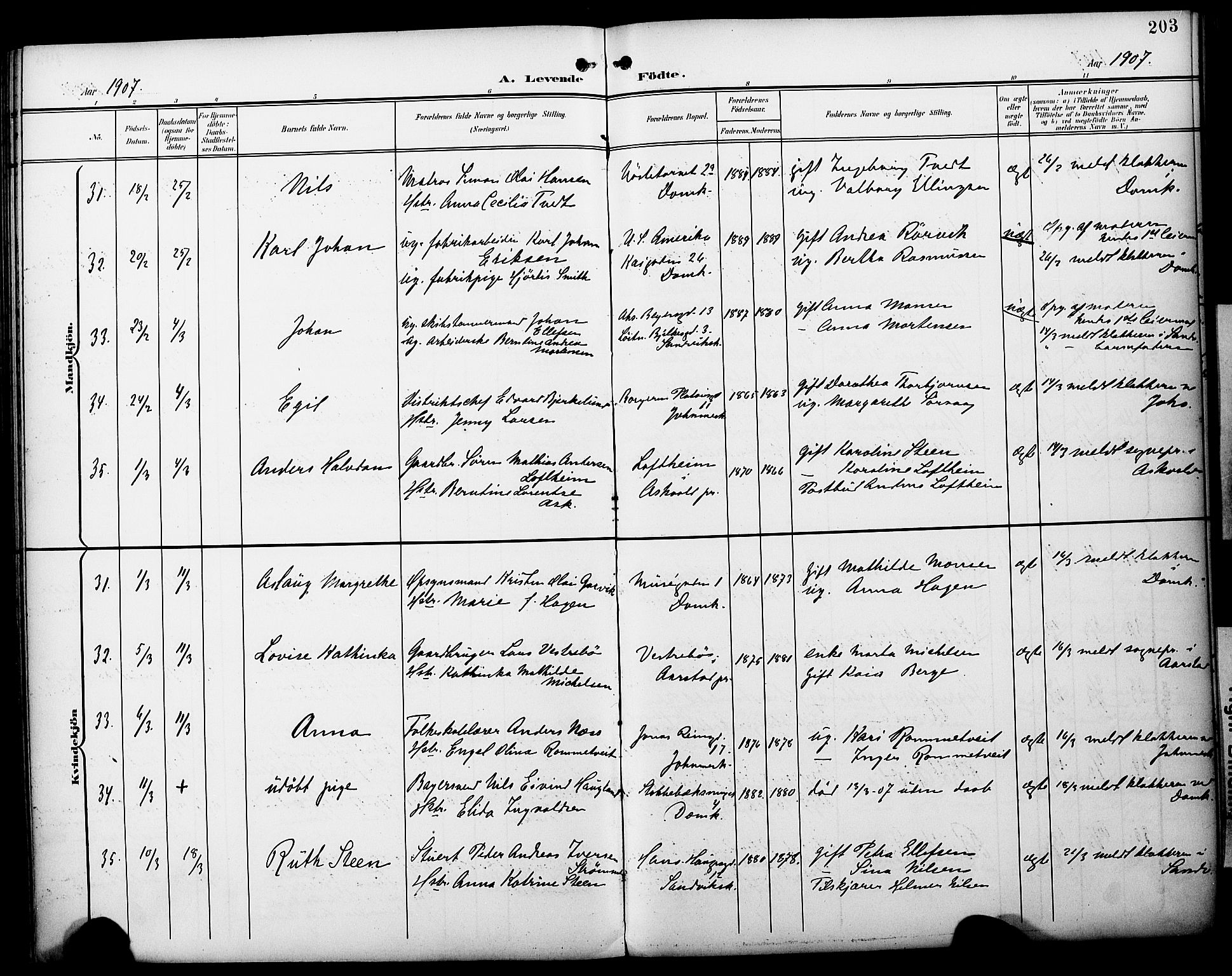 Fødselsstiftelsens sokneprestembete*, SAB/-: Parish register (official) no. A 3, 1901-1910, p. 203