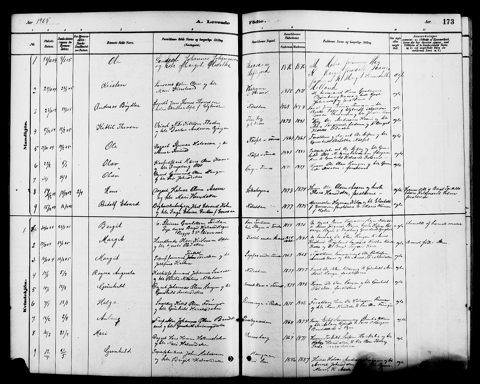 Heddal kirkebøker, SAKO/A-268/G/Ga/L0002: Parish register (copy) no. I 2, 1879-1908, p. 173