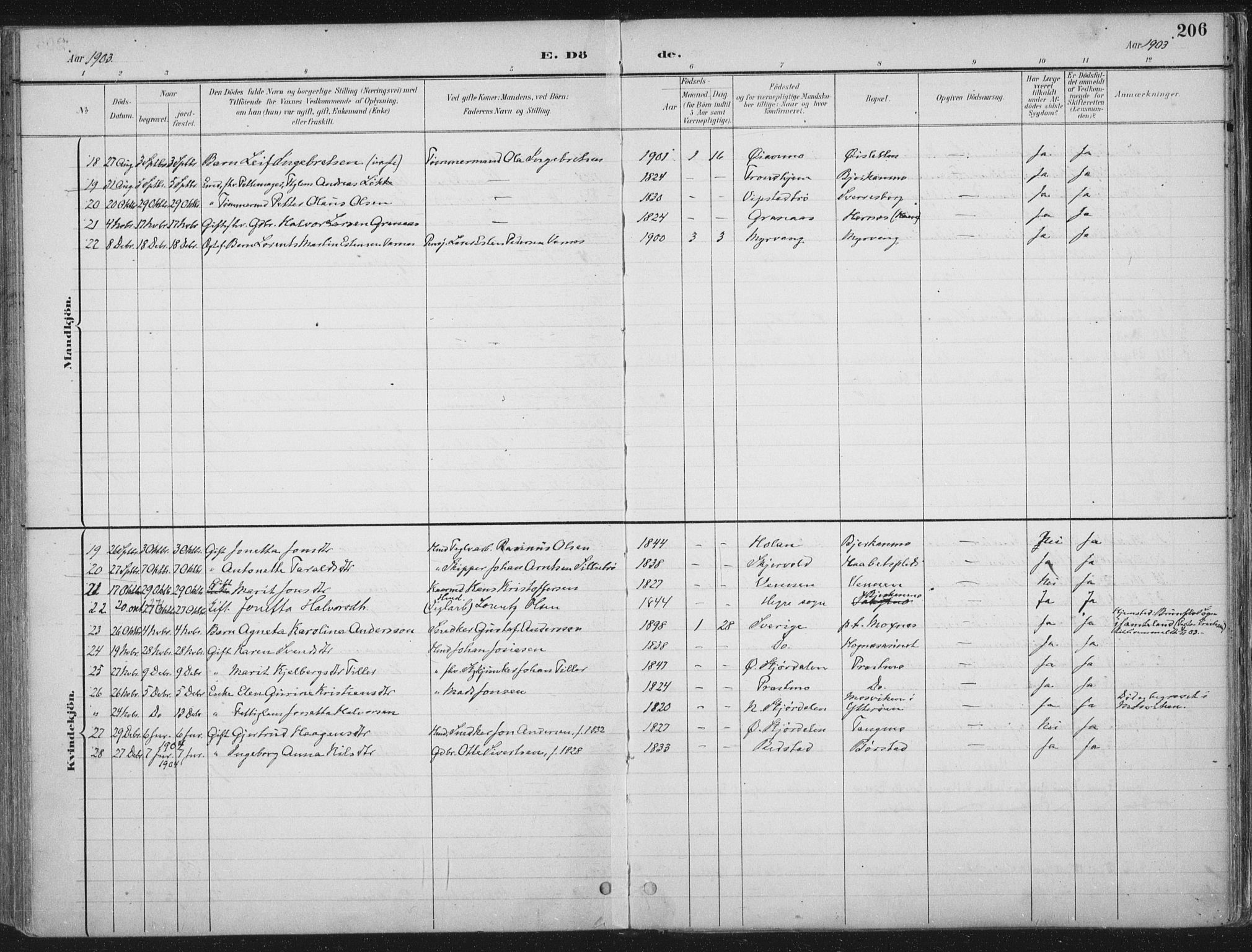Ministerialprotokoller, klokkerbøker og fødselsregistre - Nord-Trøndelag, SAT/A-1458/709/L0082: Parish register (official) no. 709A22, 1896-1916, p. 206