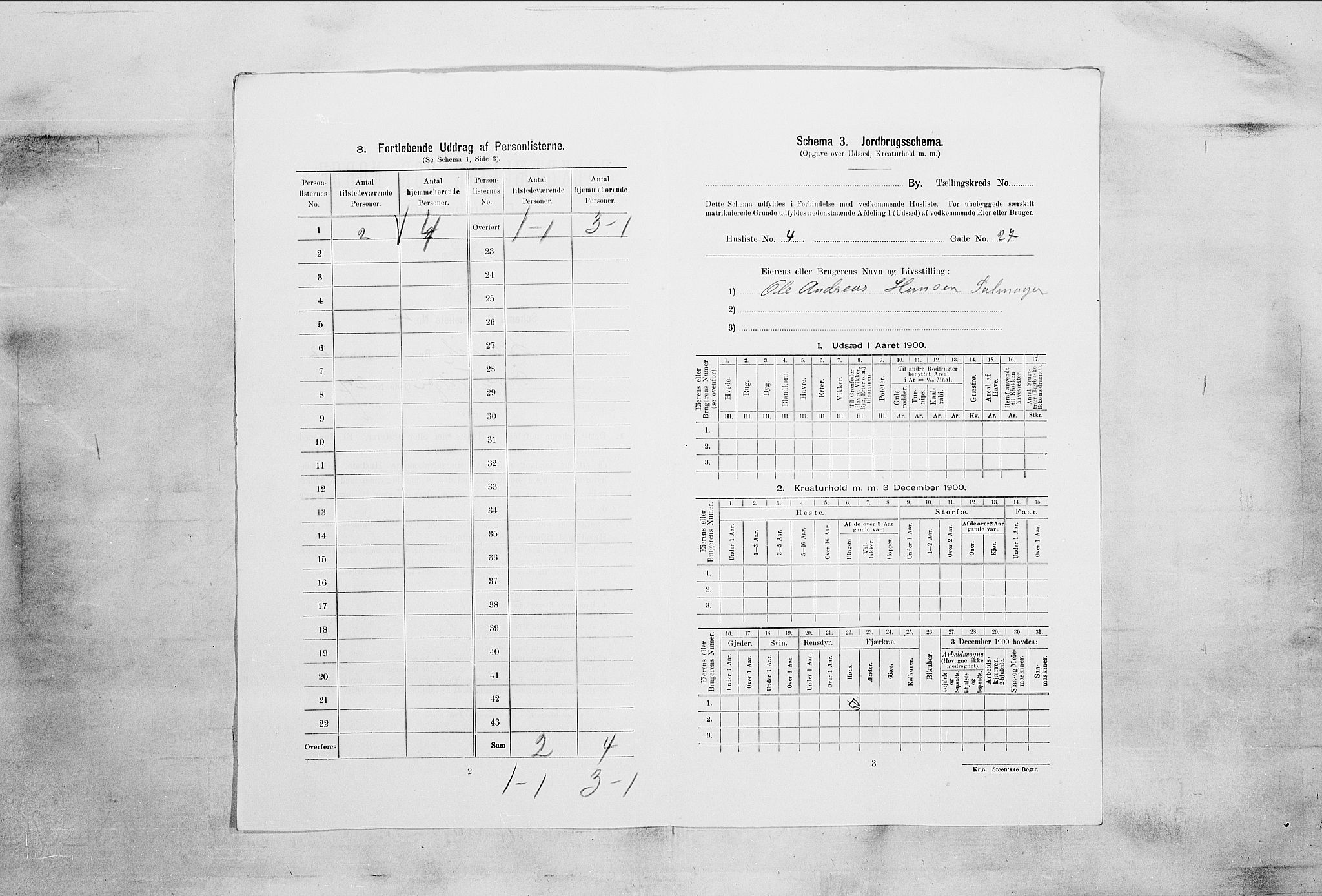 RA, 1900 census for Larvik, 1900, p. 2177