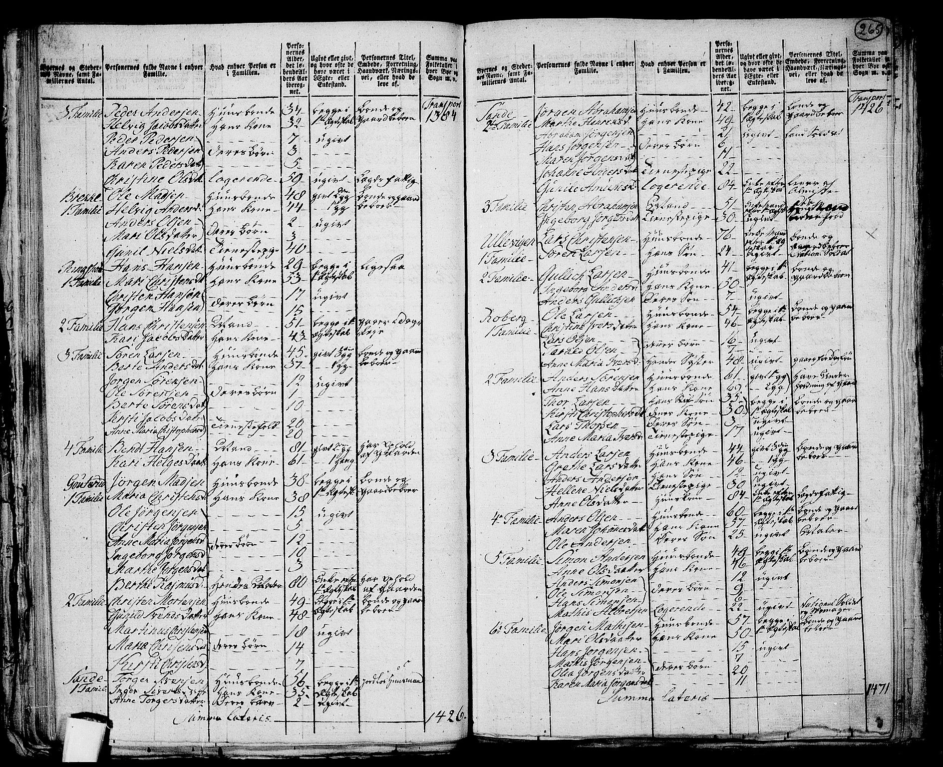 RA, 1801 census for 0721P Sem, 1801, p. 264b-265a