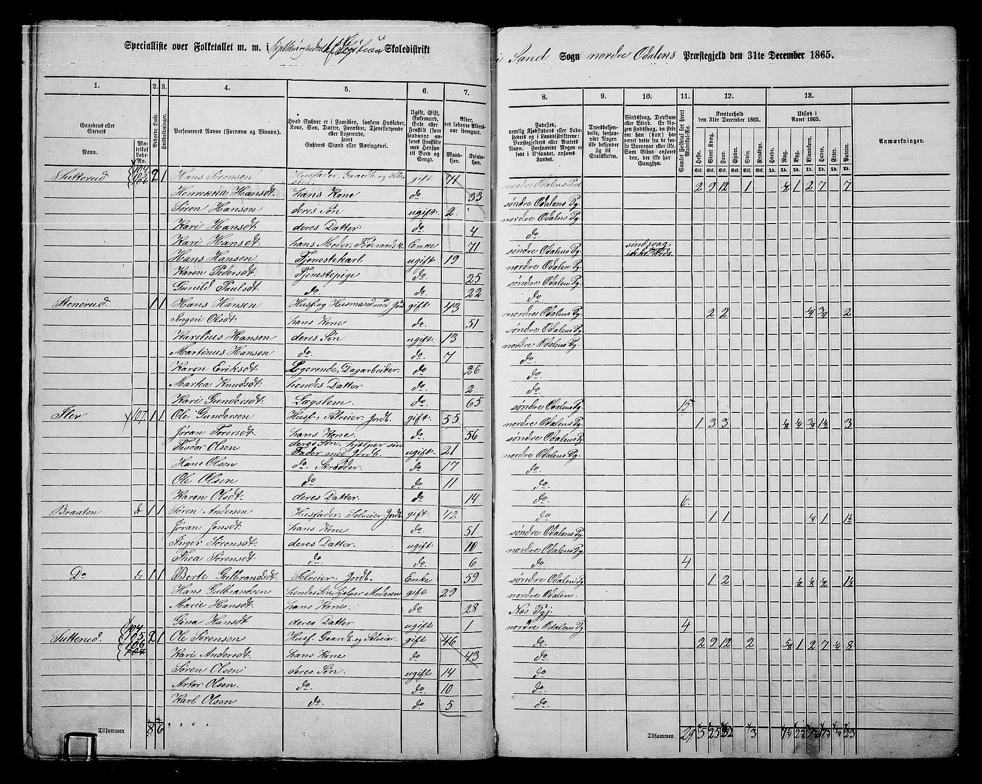 RA, 1865 census for Nord-Odal, 1865, p. 11