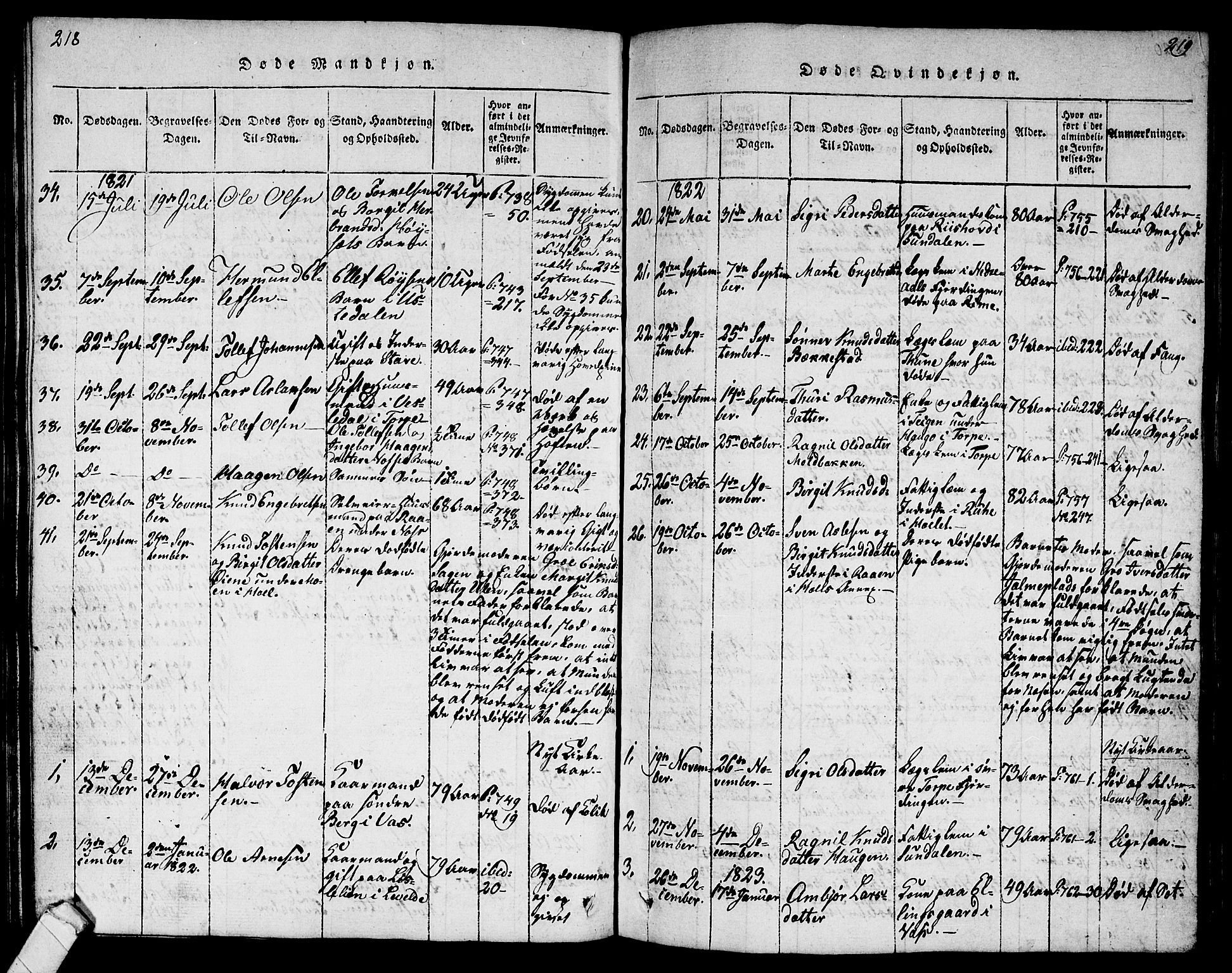 Ål kirkebøker, AV/SAKO-A-249/G/Ga/L0001: Parish register (copy) no. 1, 1815-1829, p. 218-219