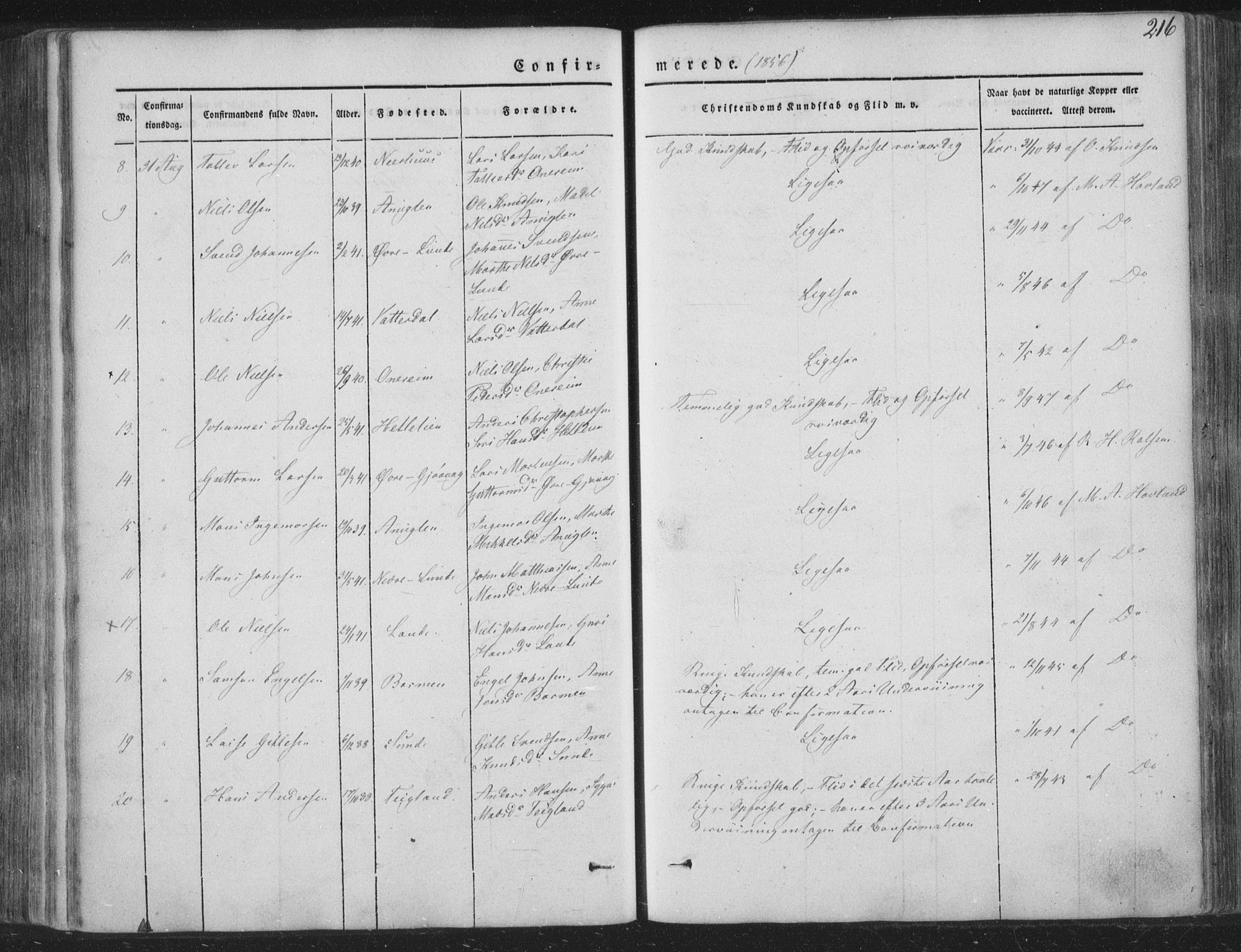 Tysnes sokneprestembete, AV/SAB-A-78601/H/Haa: Parish register (official) no. A 10, 1848-1859, p. 216