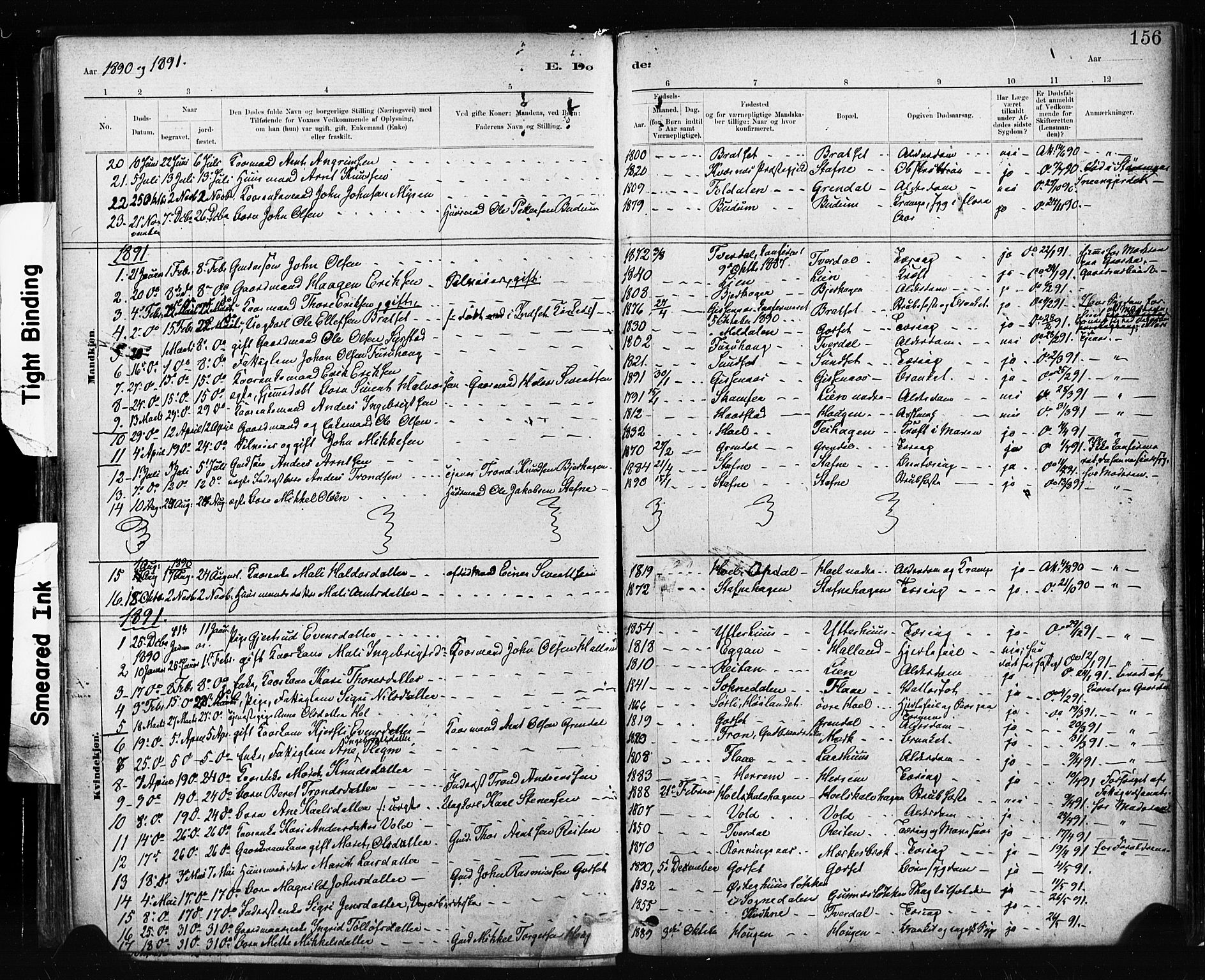 Ministerialprotokoller, klokkerbøker og fødselsregistre - Sør-Trøndelag, SAT/A-1456/674/L0871: Parish register (official) no. 674A03, 1880-1896, p. 156