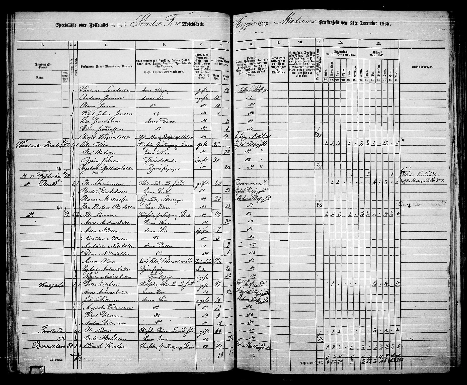 RA, 1865 census for Modum, 1865, p. 47