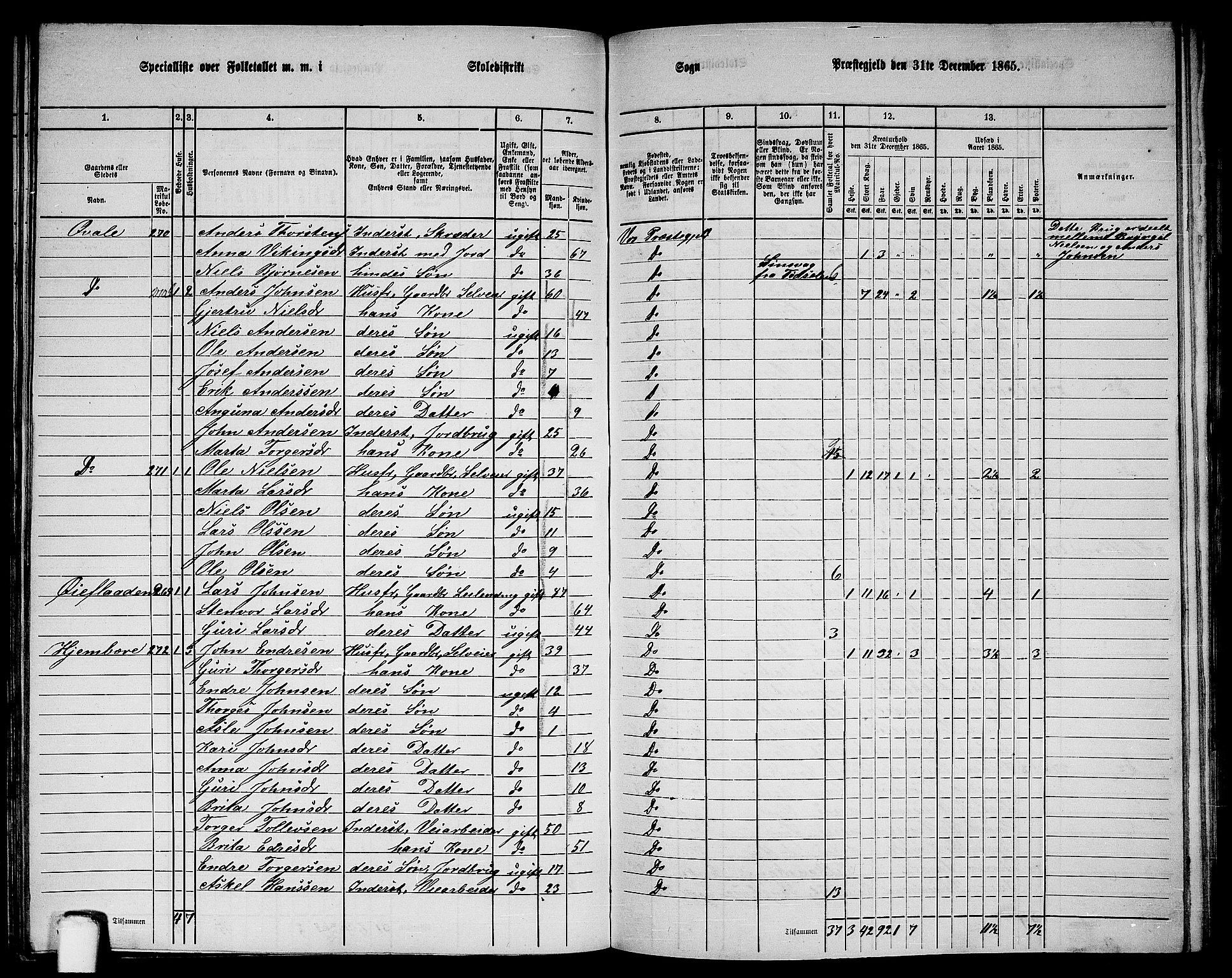 RA, 1865 census for Voss, 1865, p. 139