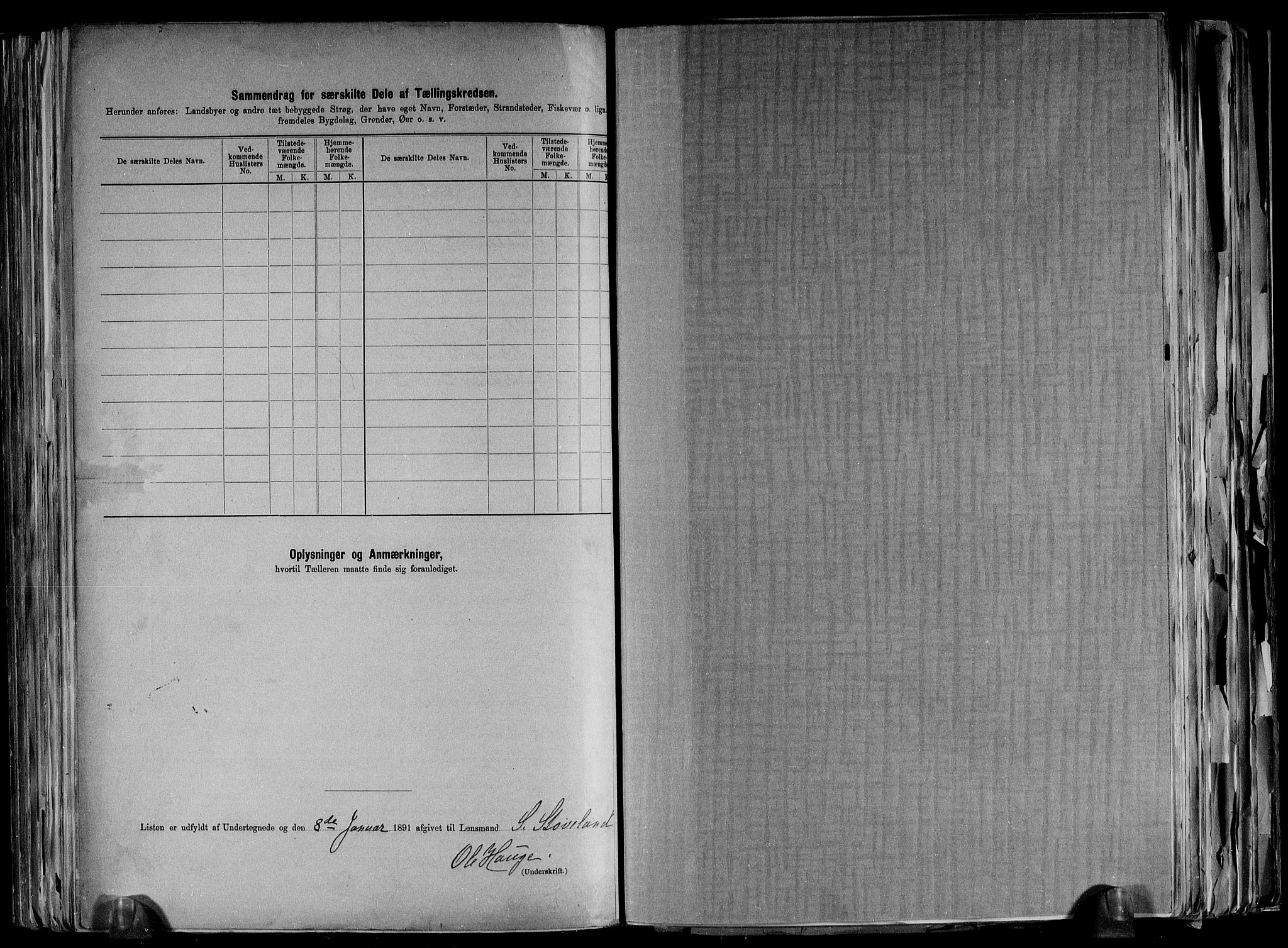 RA, 1891 census for 1020 Holum, 1891, p. 19