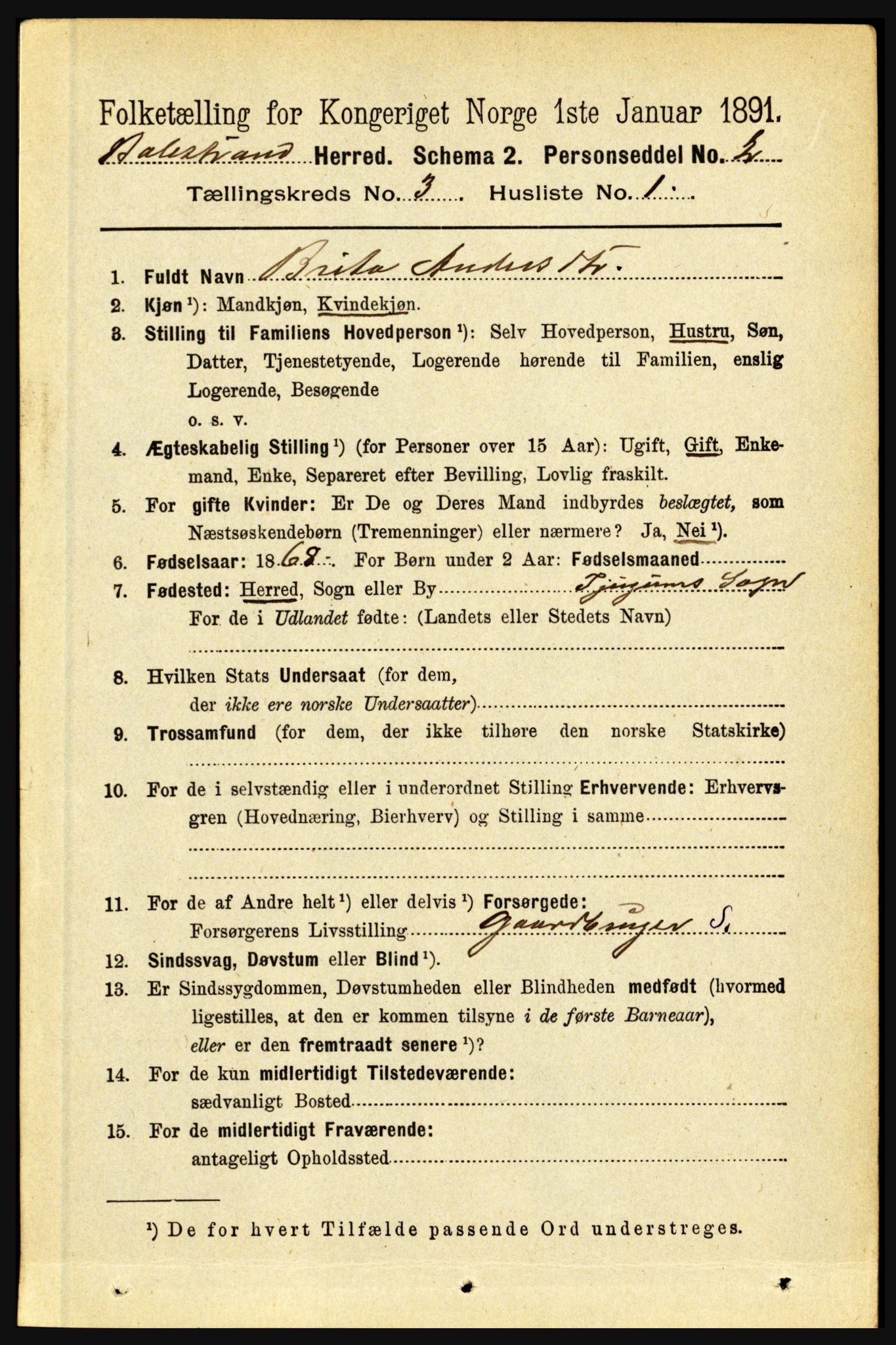 RA, 1891 census for 1418 Balestrand, 1891, p. 595