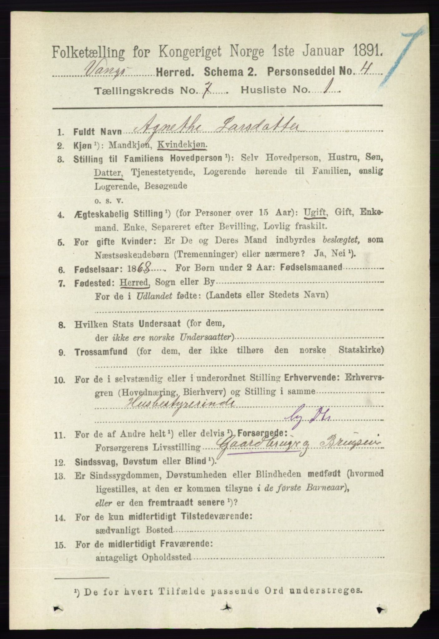 RA, 1891 census for 0414 Vang, 1891, p. 5029