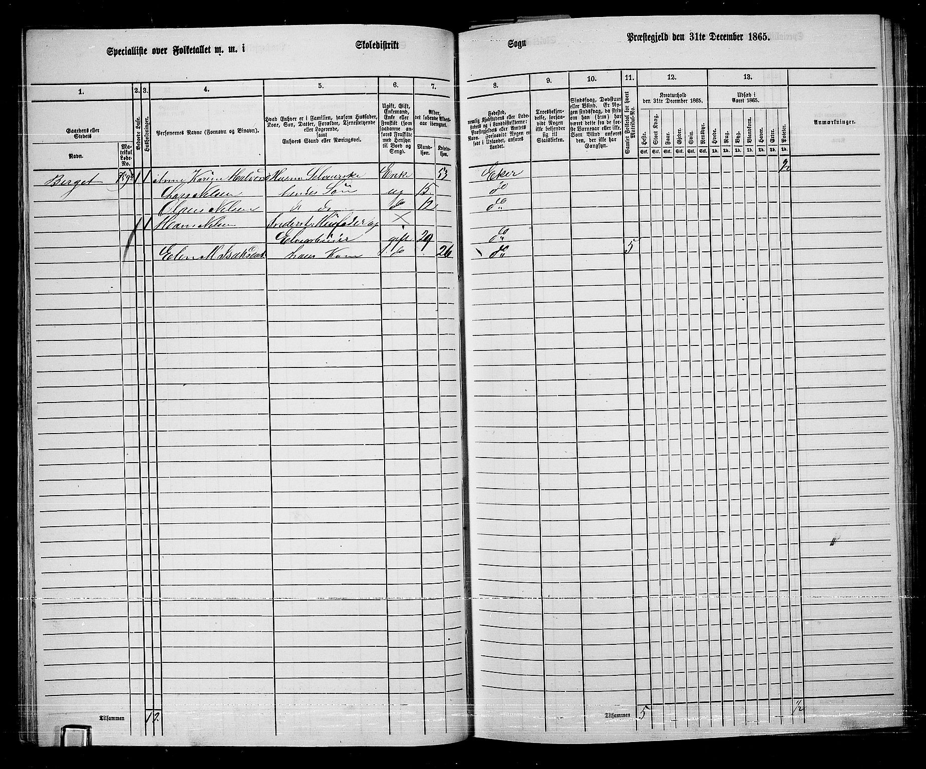 RA, 1865 census for Eiker, 1865, p. 319