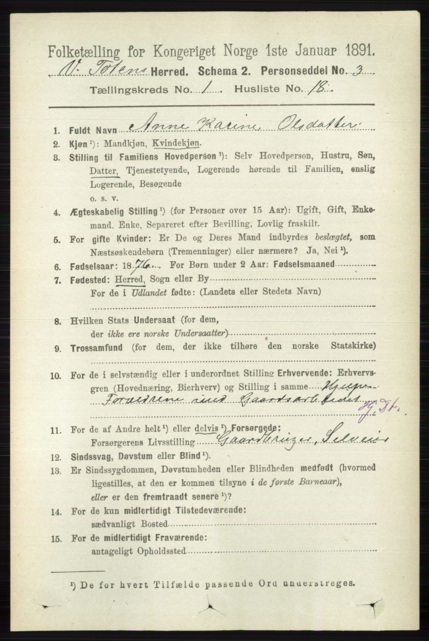 RA, 1891 census for 0529 Vestre Toten, 1891, p. 302