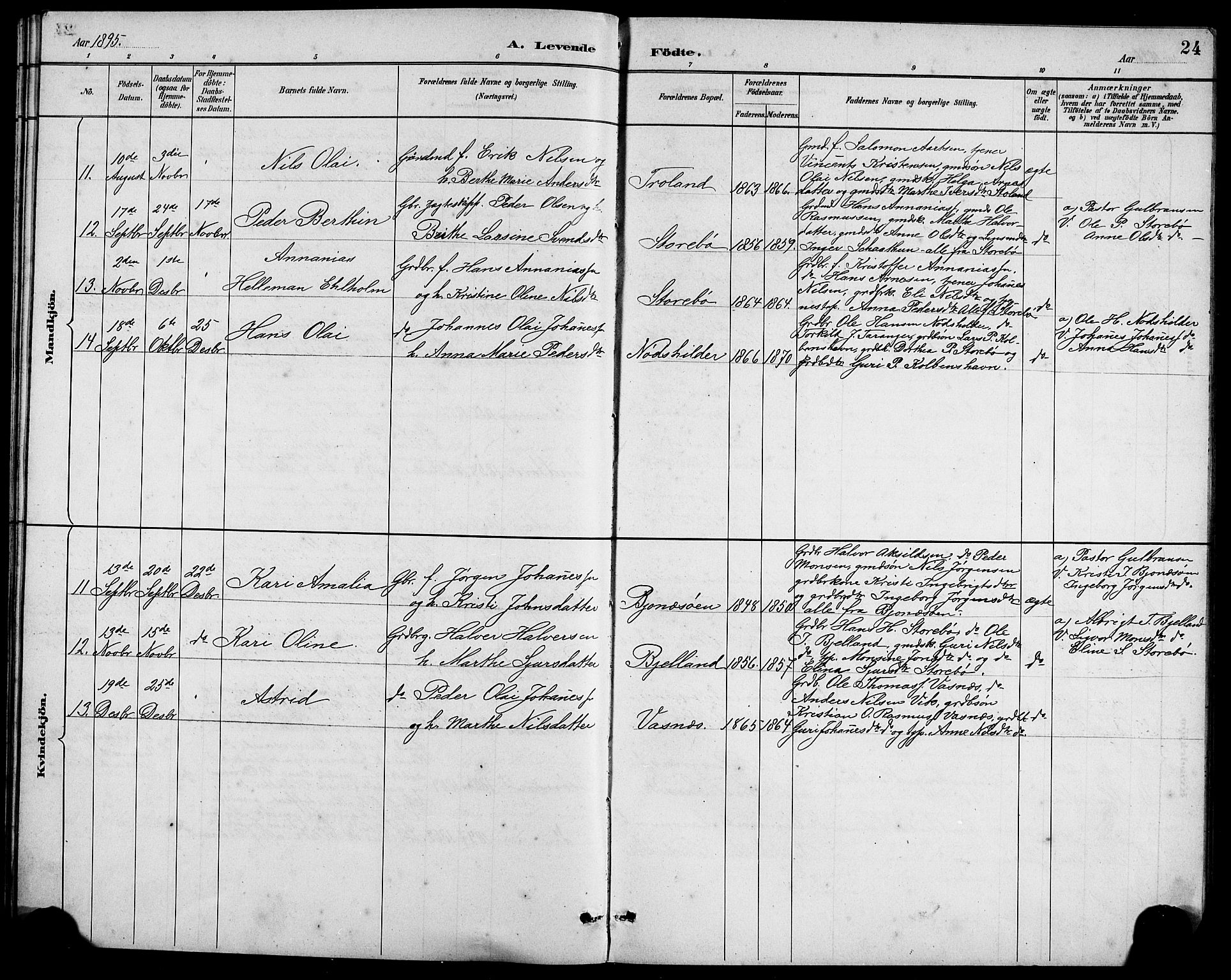 Austevoll sokneprestembete, AV/SAB-A-74201/H/Ha/Hab/Haba/L0003: Parish register (copy) no. A 3, 1889-1900, p. 24