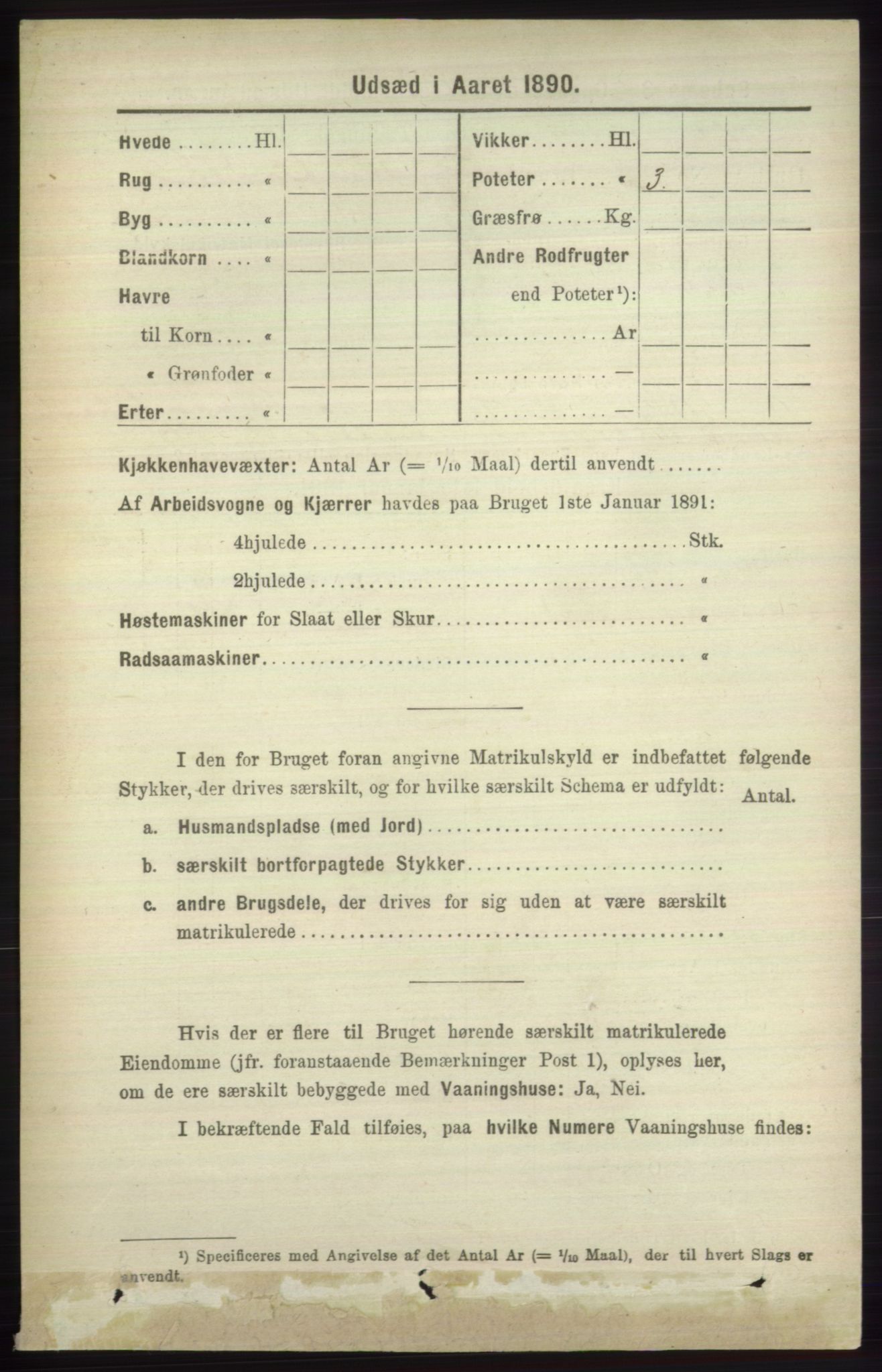 RA, 1891 census for 1251 Bruvik, 1891, p. 4556