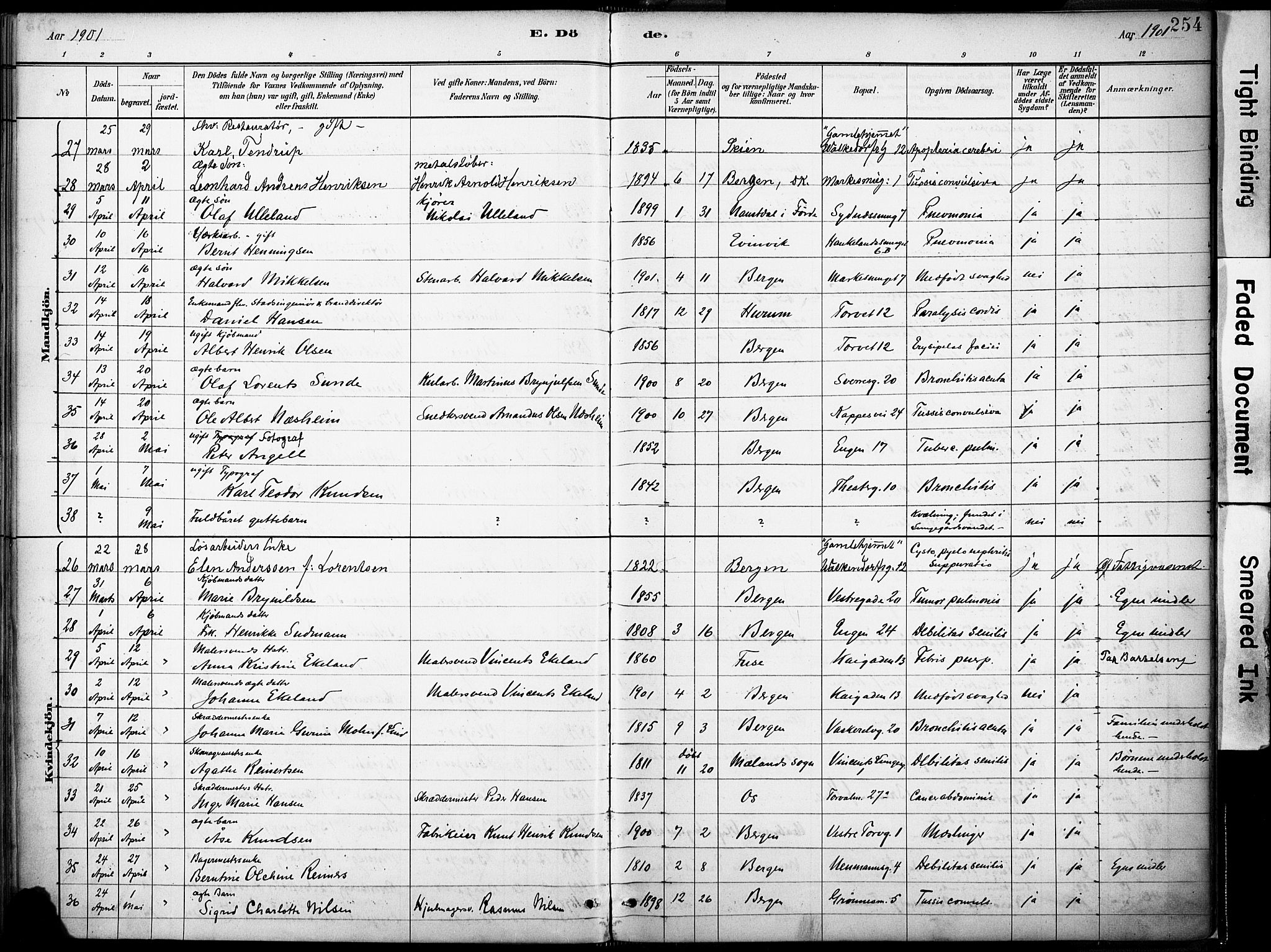 Domkirken sokneprestembete, AV/SAB-A-74801/H/Haa/L0043: Parish register (official) no. E 5, 1882-1904, p. 254