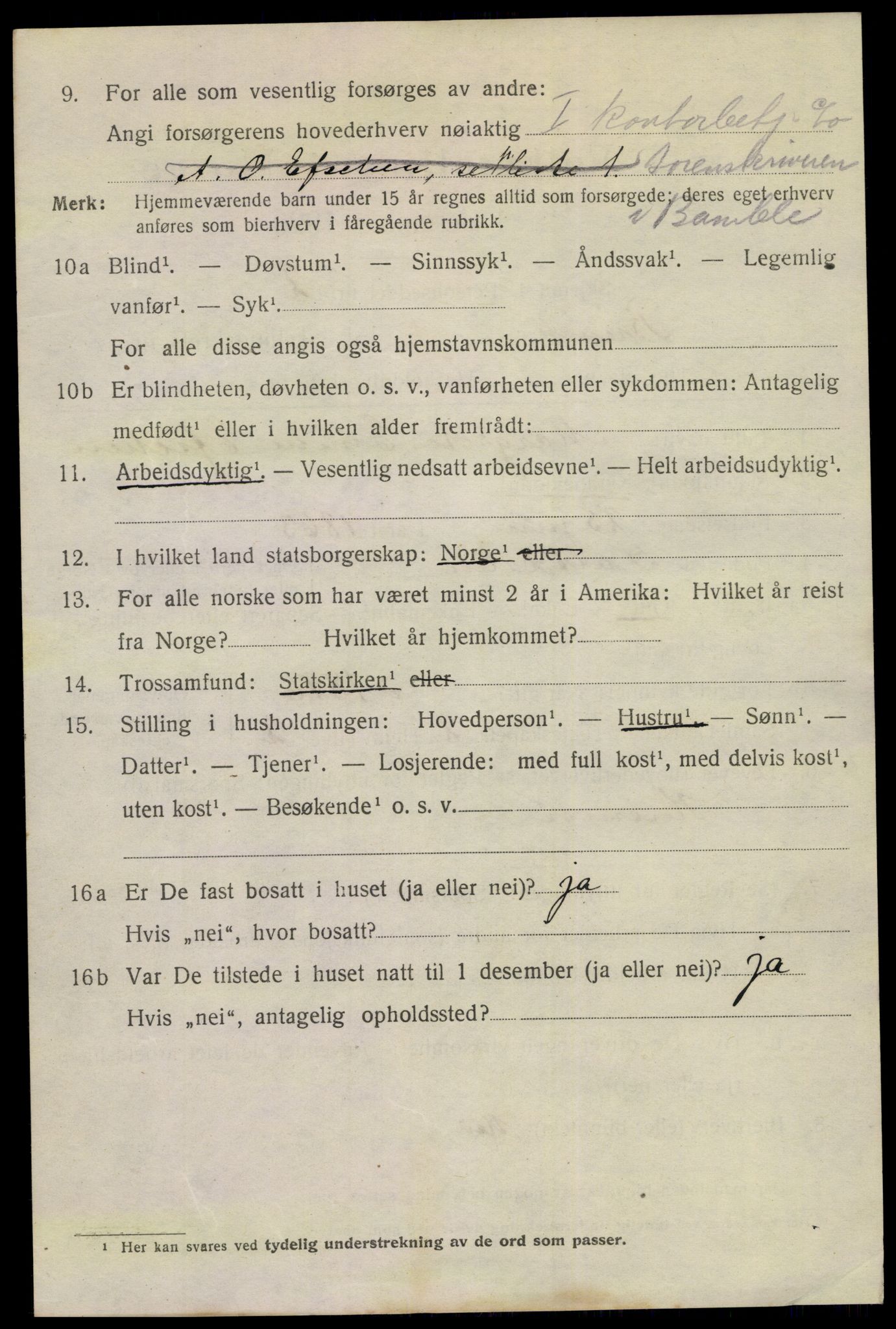 SAKO, 1920 census for Brevik, 1920, p. 6031