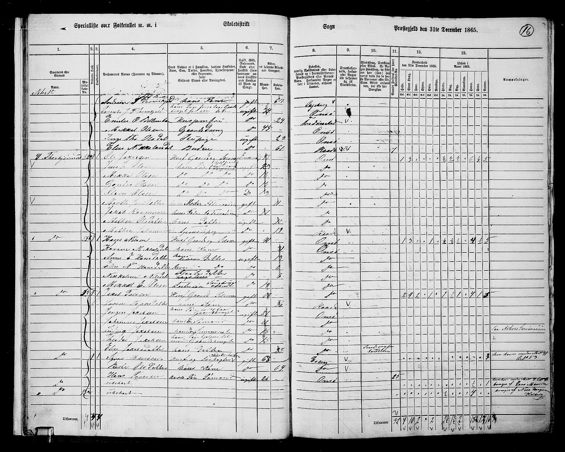 RA, 1865 census for Onsøy, 1865, p. 19