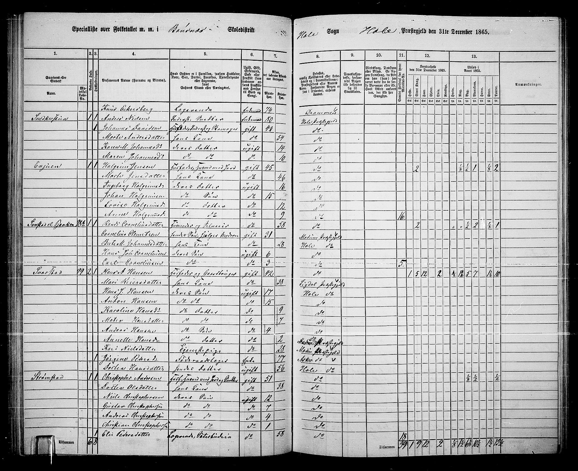 RA, 1865 census for Hole, 1865, p. 78