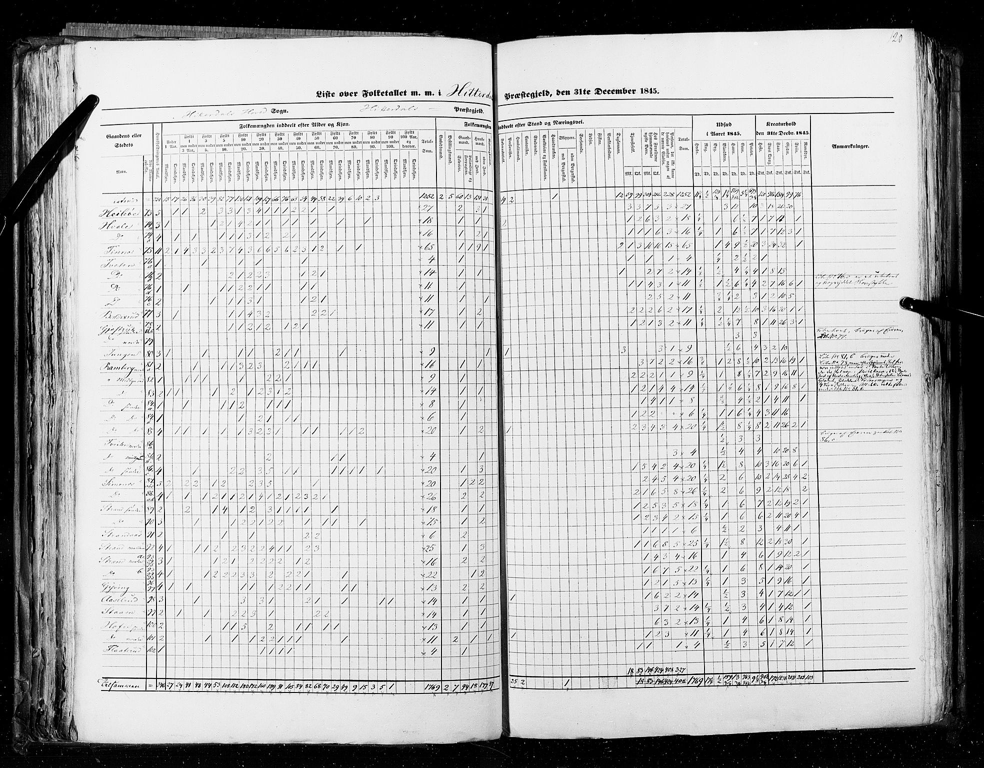 RA, Census 1845, vol. 5: Bratsberg amt og Nedenes og Råbyggelaget amt, 1845, p. 120