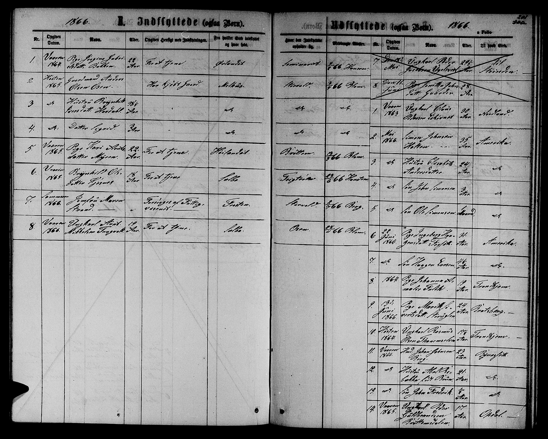 Ministerialprotokoller, klokkerbøker og fødselsregistre - Sør-Trøndelag, SAT/A-1456/618/L0451: Parish register (copy) no. 618C02, 1865-1883, p. 201