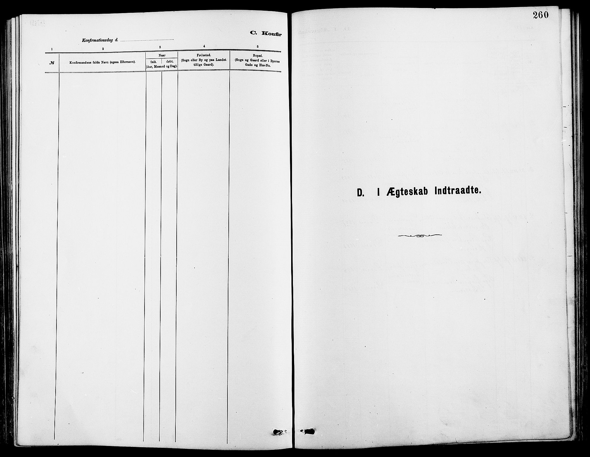 Dovre prestekontor, SAH/PREST-066/H/Ha/Hab/L0002: Parish register (copy) no. 2, 1881-1907, p. 260