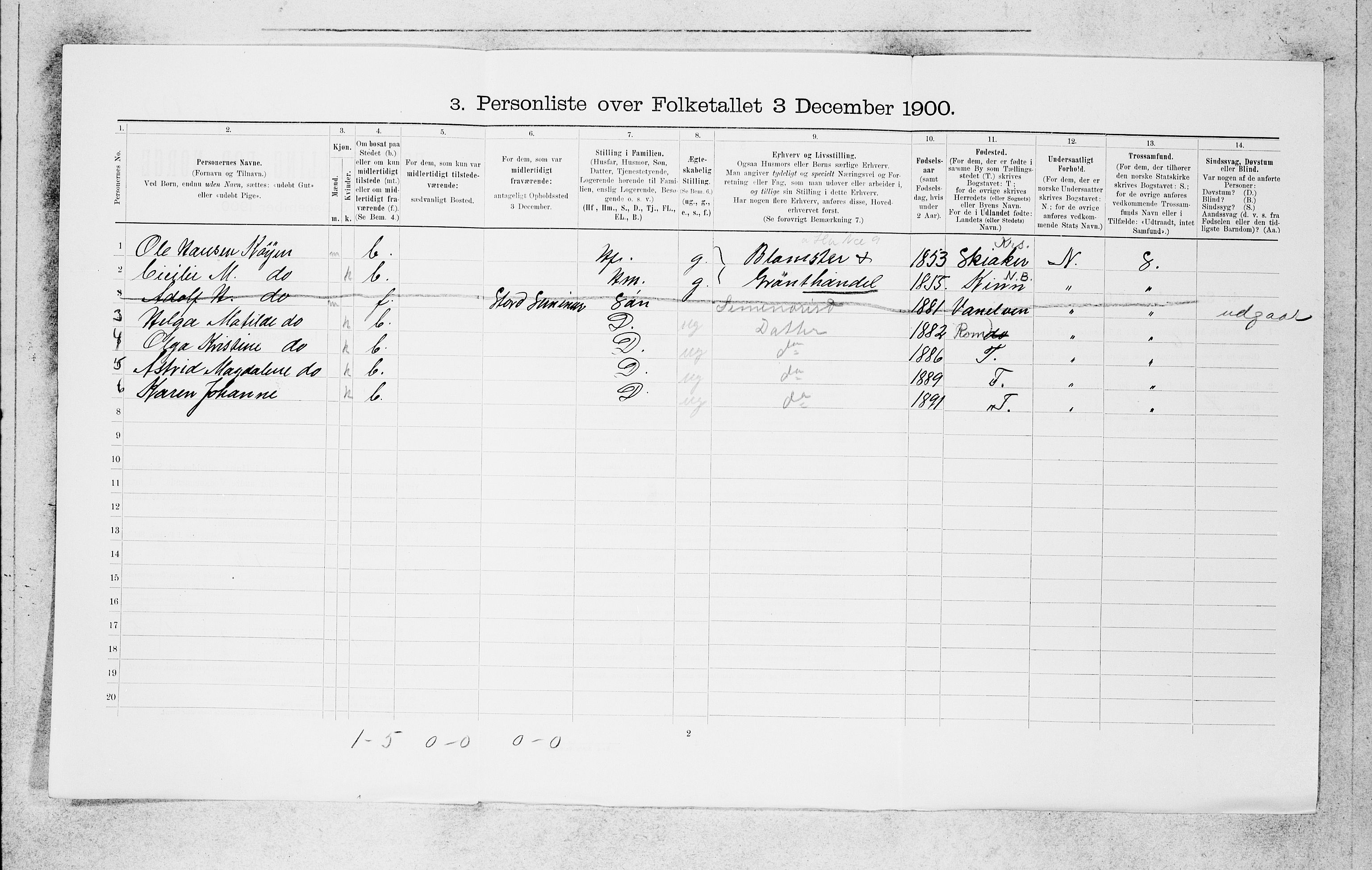 SAB, 1900 census for Bergen, 1900, p. 8745