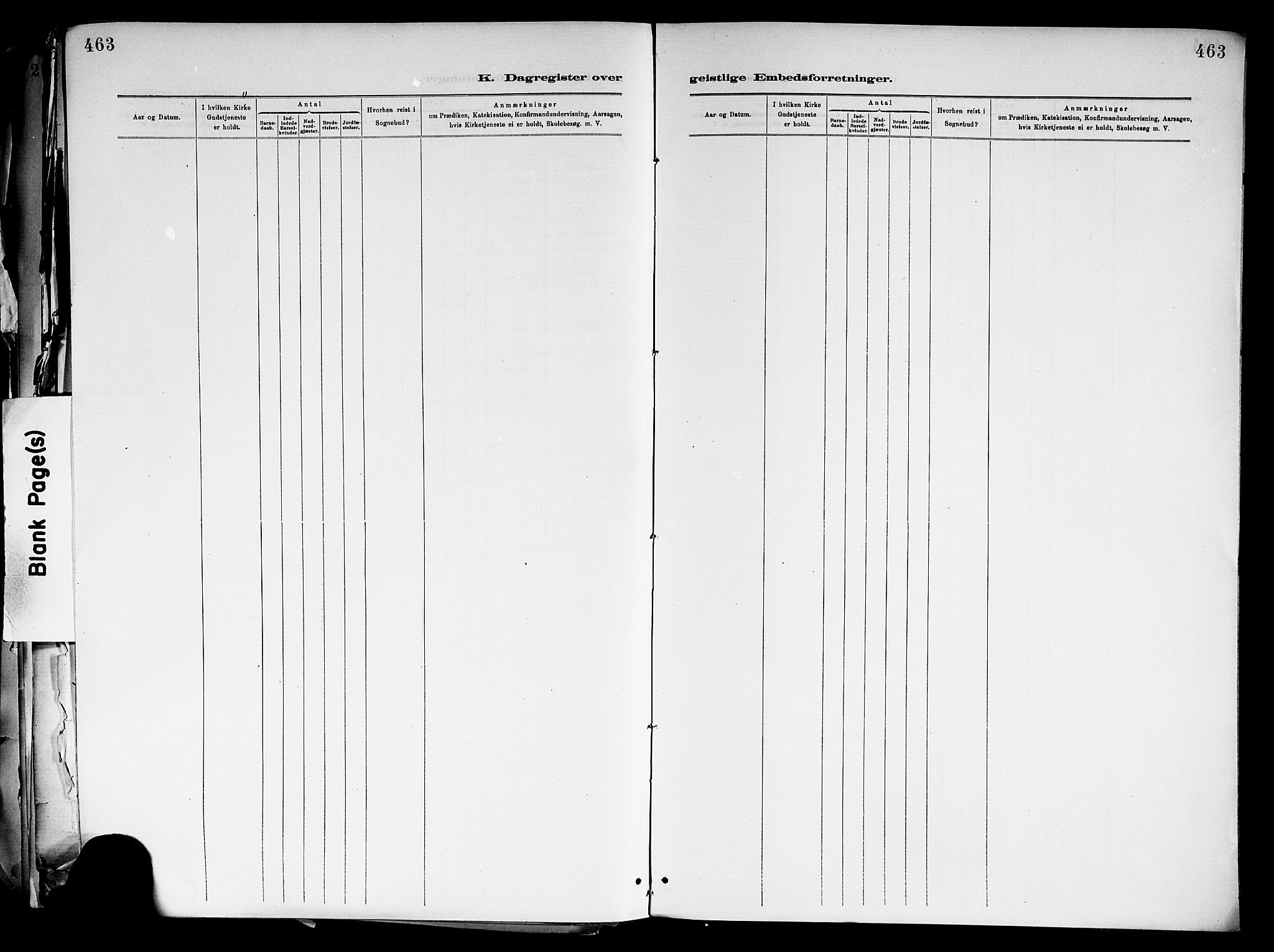 Holla kirkebøker, AV/SAKO-A-272/F/Fa/L0008: Parish register (official) no. 8, 1882-1897, p. 463