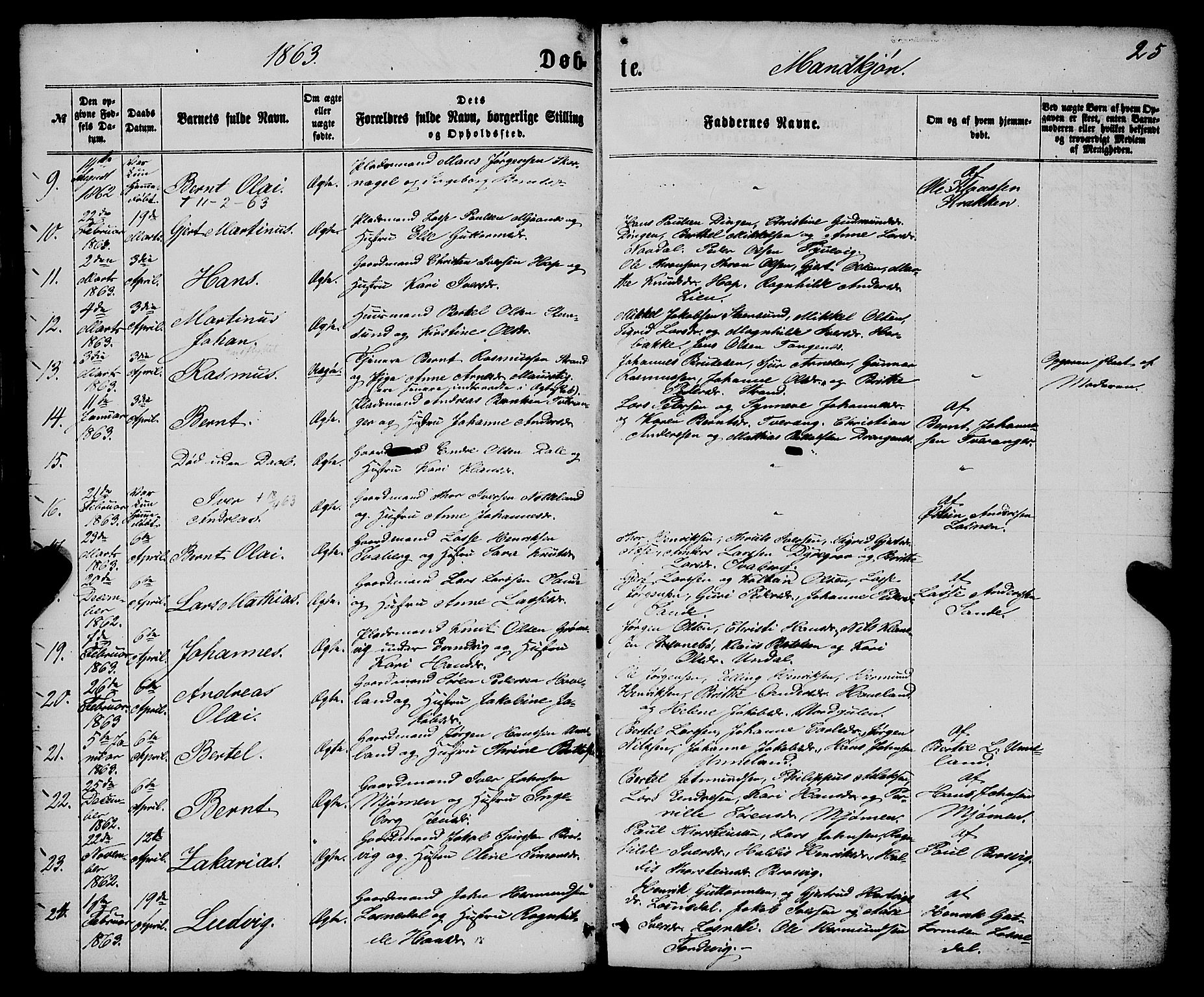 Gulen sokneprestembete, AV/SAB-A-80201/H/Haa/Haaa/L0022: Parish register (official) no. A 22, 1859-1869, p. 25