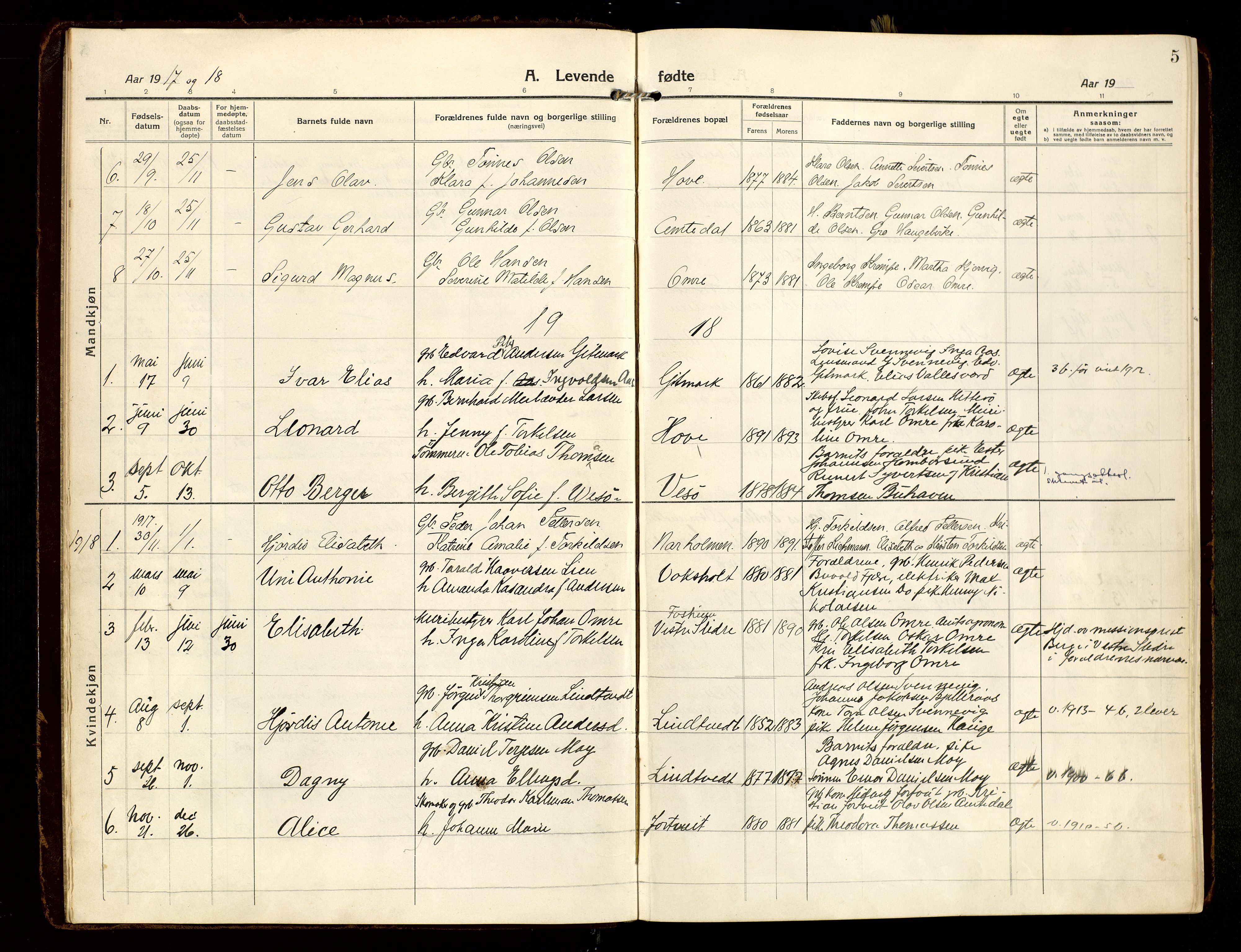 Hommedal sokneprestkontor, SAK/1111-0023/F/Fa/Faa/L0004: Parish register (official) no. A 4, 1916-1945, p. 5