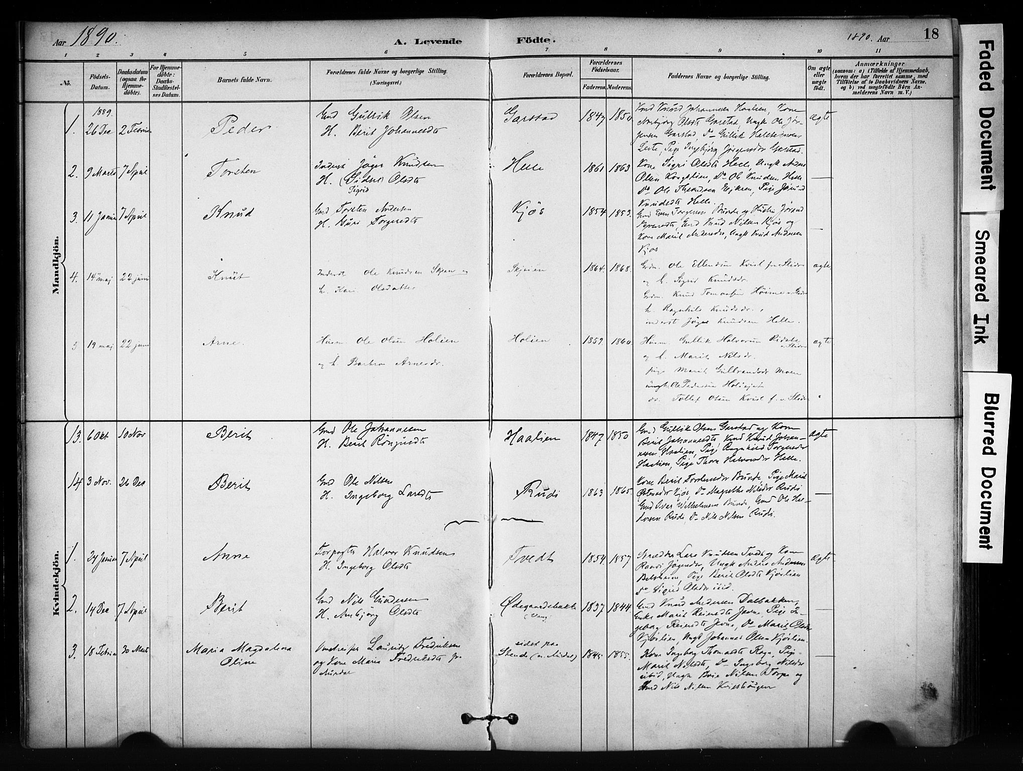 Vang prestekontor, Valdres, AV/SAH-PREST-140/H/Ha/L0009: Parish register (official) no. 9, 1882-1914, p. 18