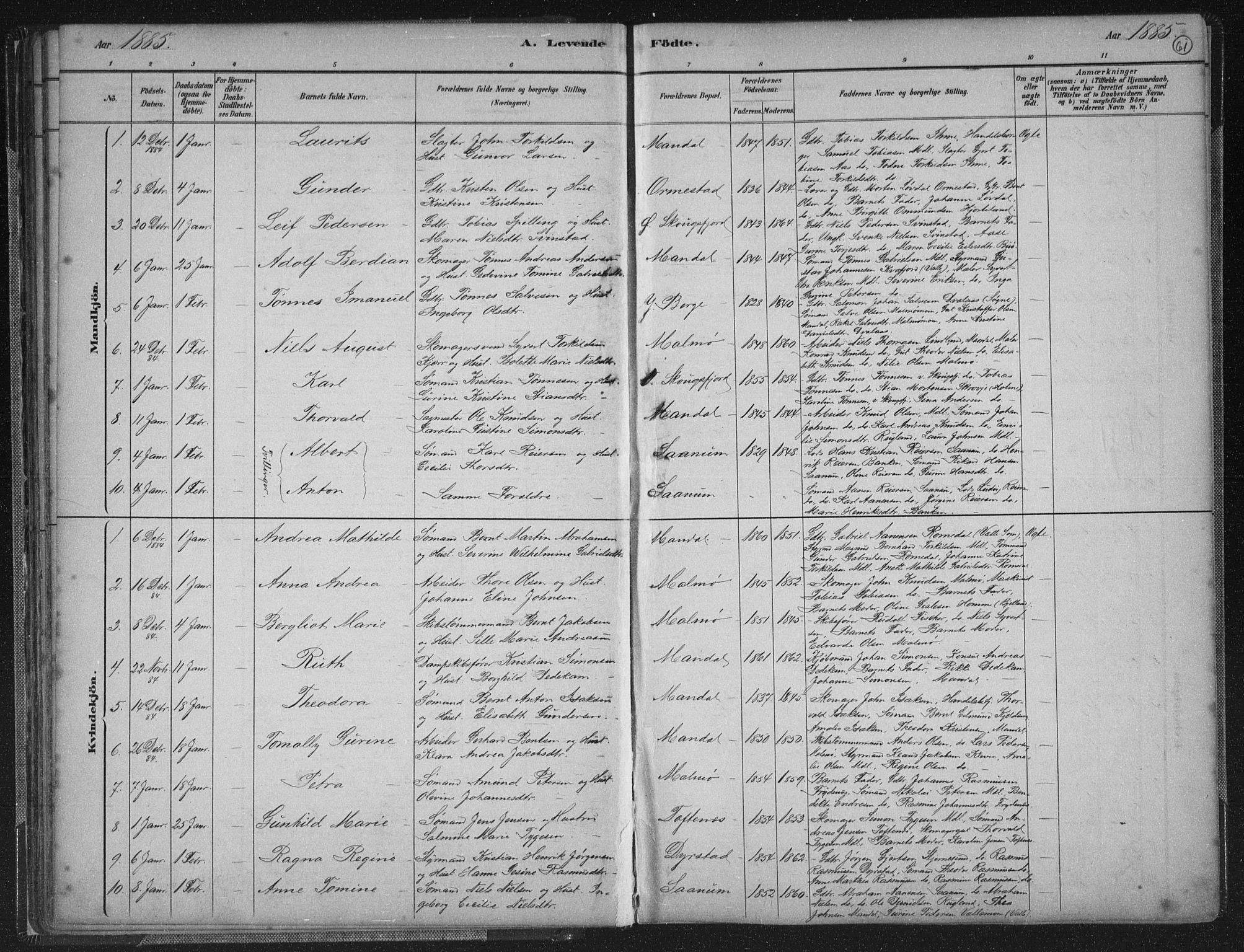 Mandal sokneprestkontor, AV/SAK-1111-0030/F/Fb/Fba/L0011: Parish register (copy) no. B 5, 1880-1898, p. 61