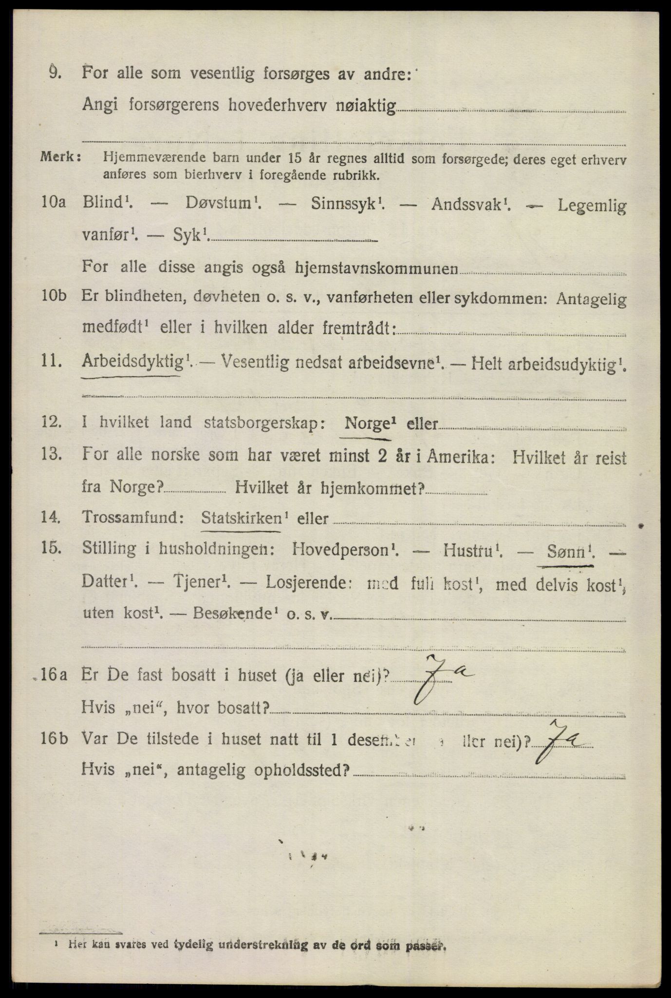 SAKO, 1920 census for Hemsedal, 1920, p. 2961