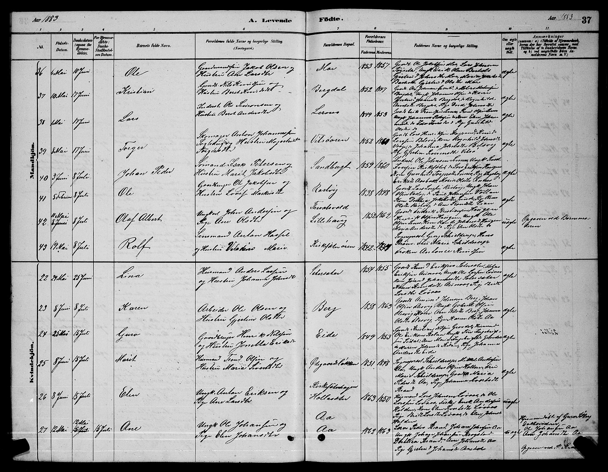 Ministerialprotokoller, klokkerbøker og fødselsregistre - Sør-Trøndelag, AV/SAT-A-1456/630/L0504: Parish register (copy) no. 630C02, 1879-1898, p. 37