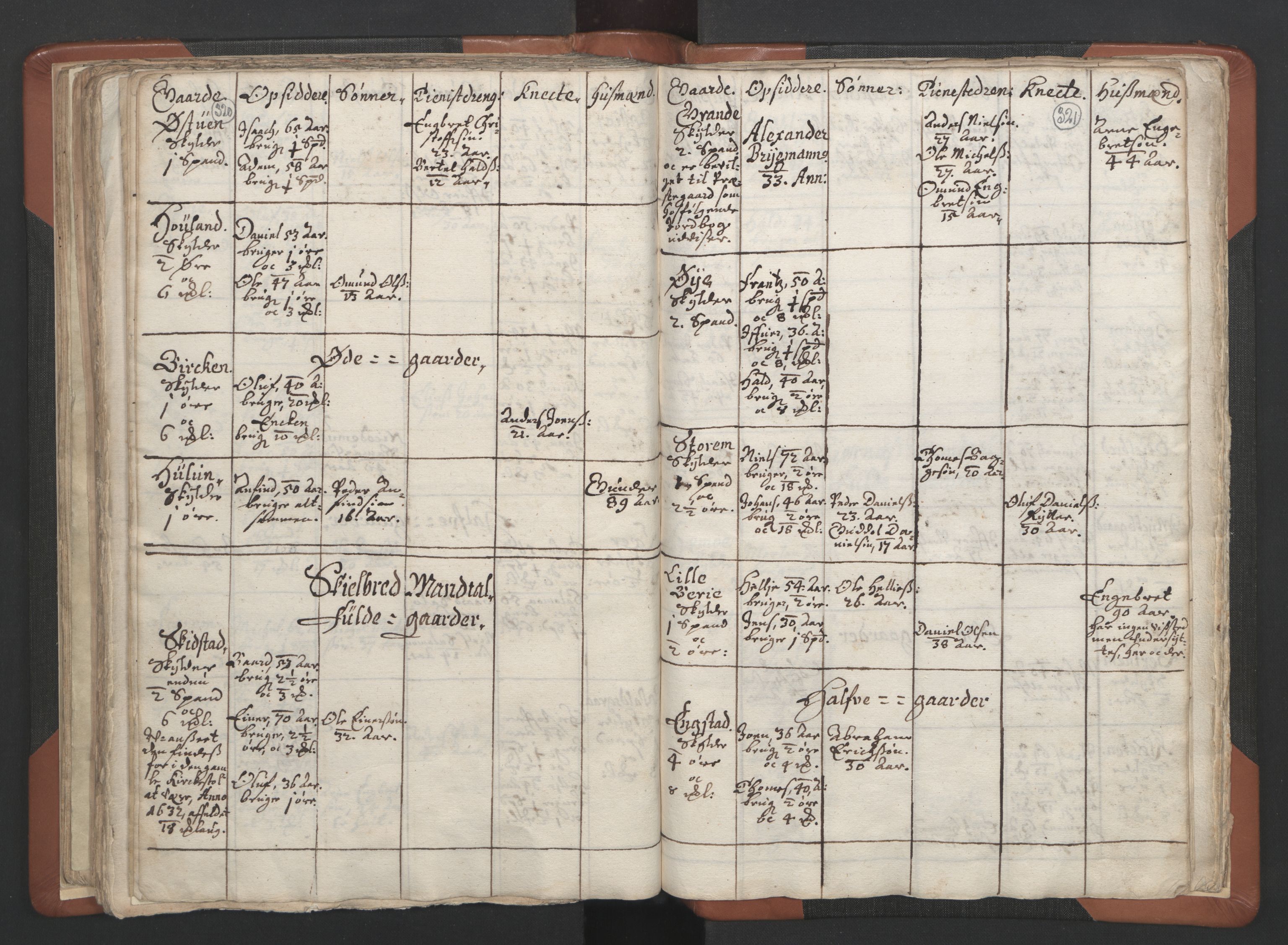 RA, Vicar's Census 1664-1666, no. 34: Namdal deanery, 1664-1666, p. 320-321