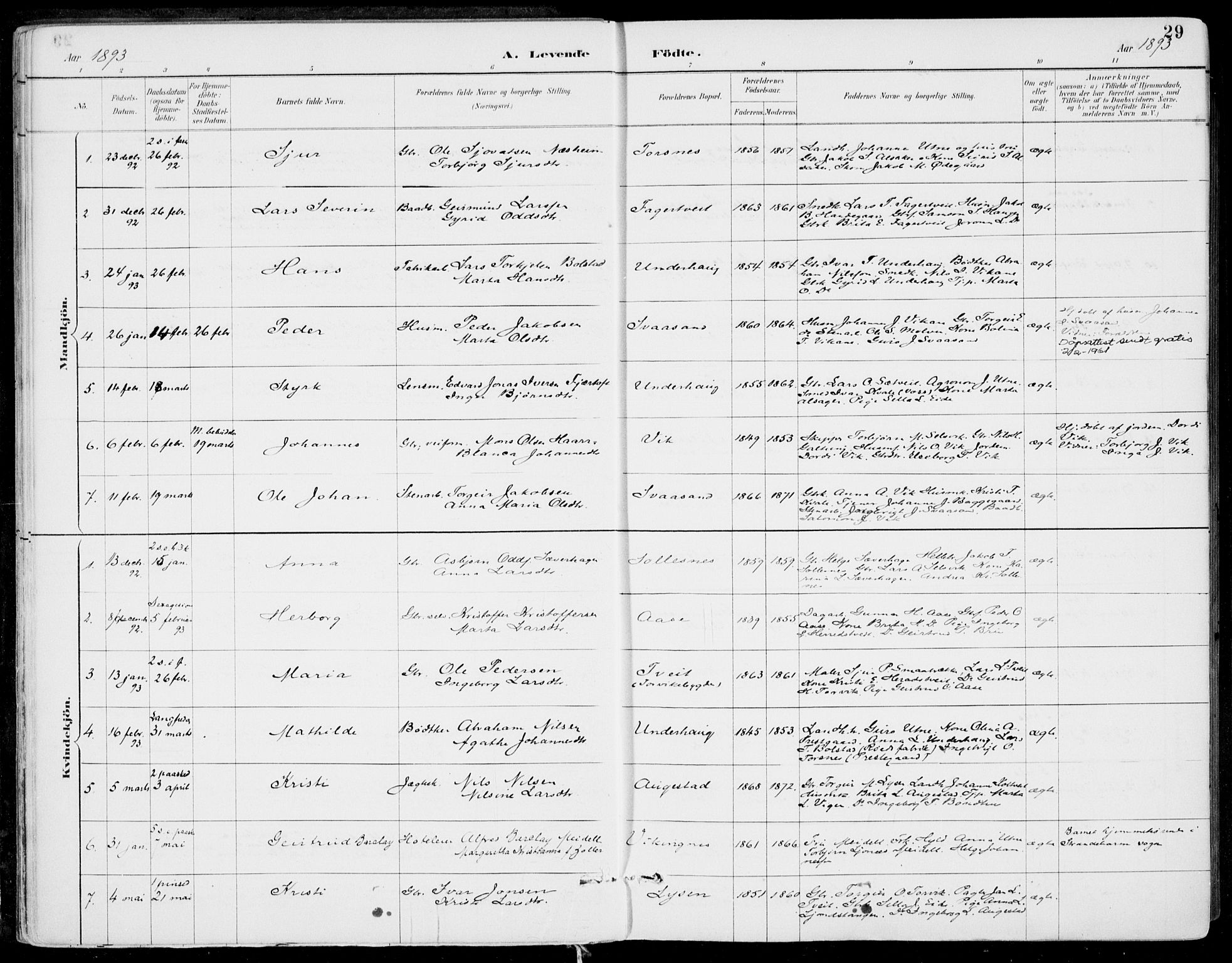 Strandebarm sokneprestembete, SAB/A-78401/H/Haa: Parish register (official) no. E  1, 1886-1908, p. 29