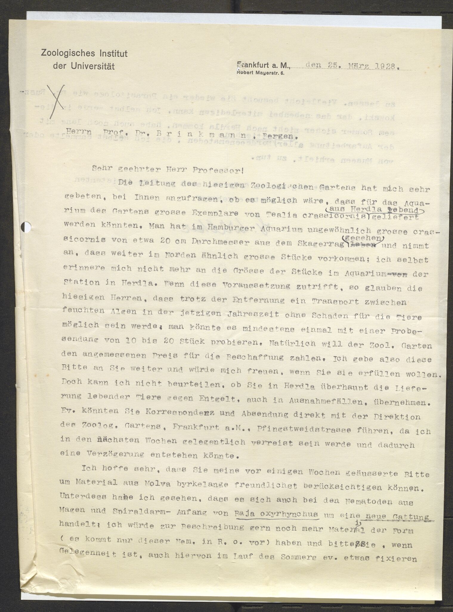 Bergens Museum, AV/SAB-A-17301/13/D/L0002: Korrespondanse , 1928-1940, p. 309