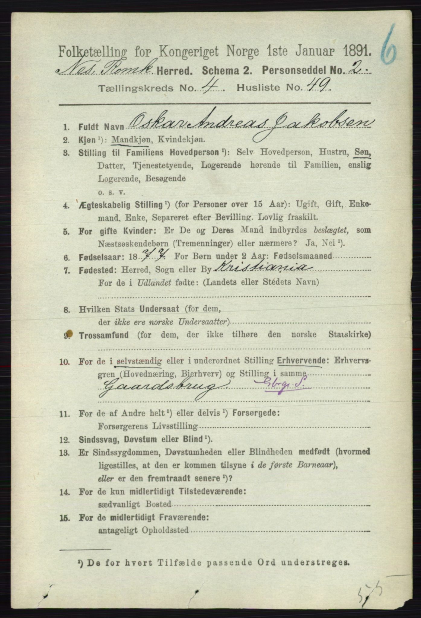 RA, 1891 census for 0236 Nes, 1891, p. 2535