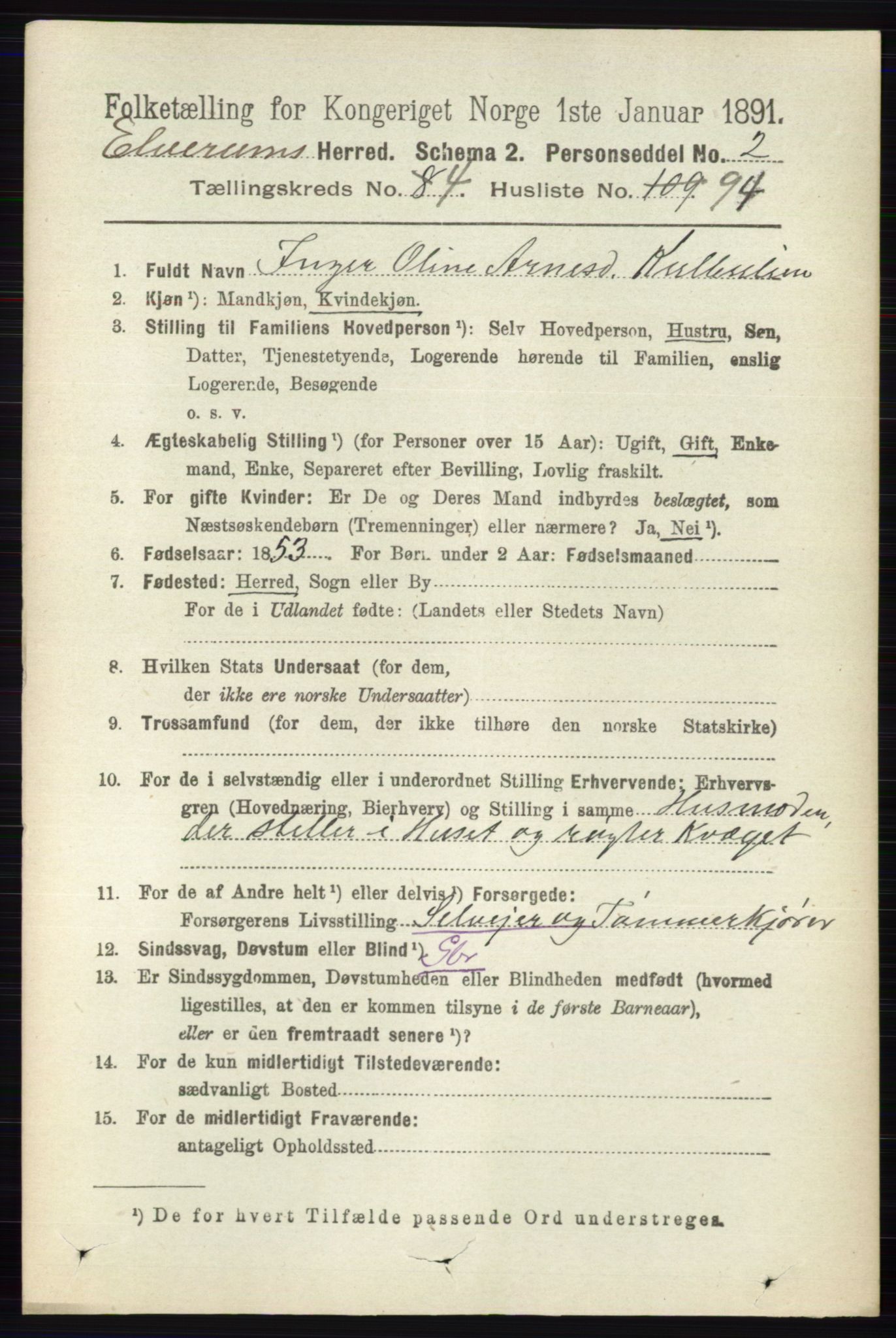 RA, 1891 census for 0427 Elverum, 1891, p. 2915