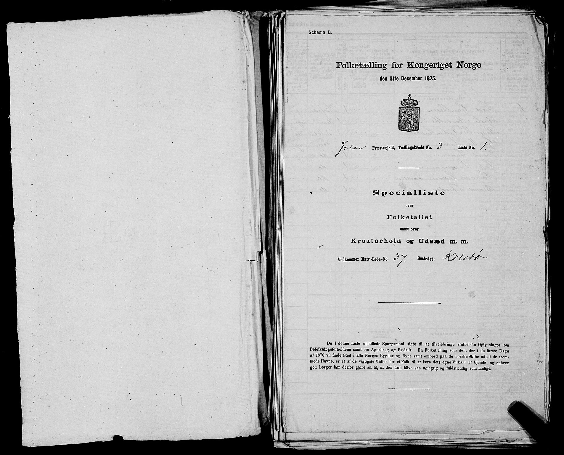 SAST, 1875 census for 1138P Jelsa, 1875, p. 185
