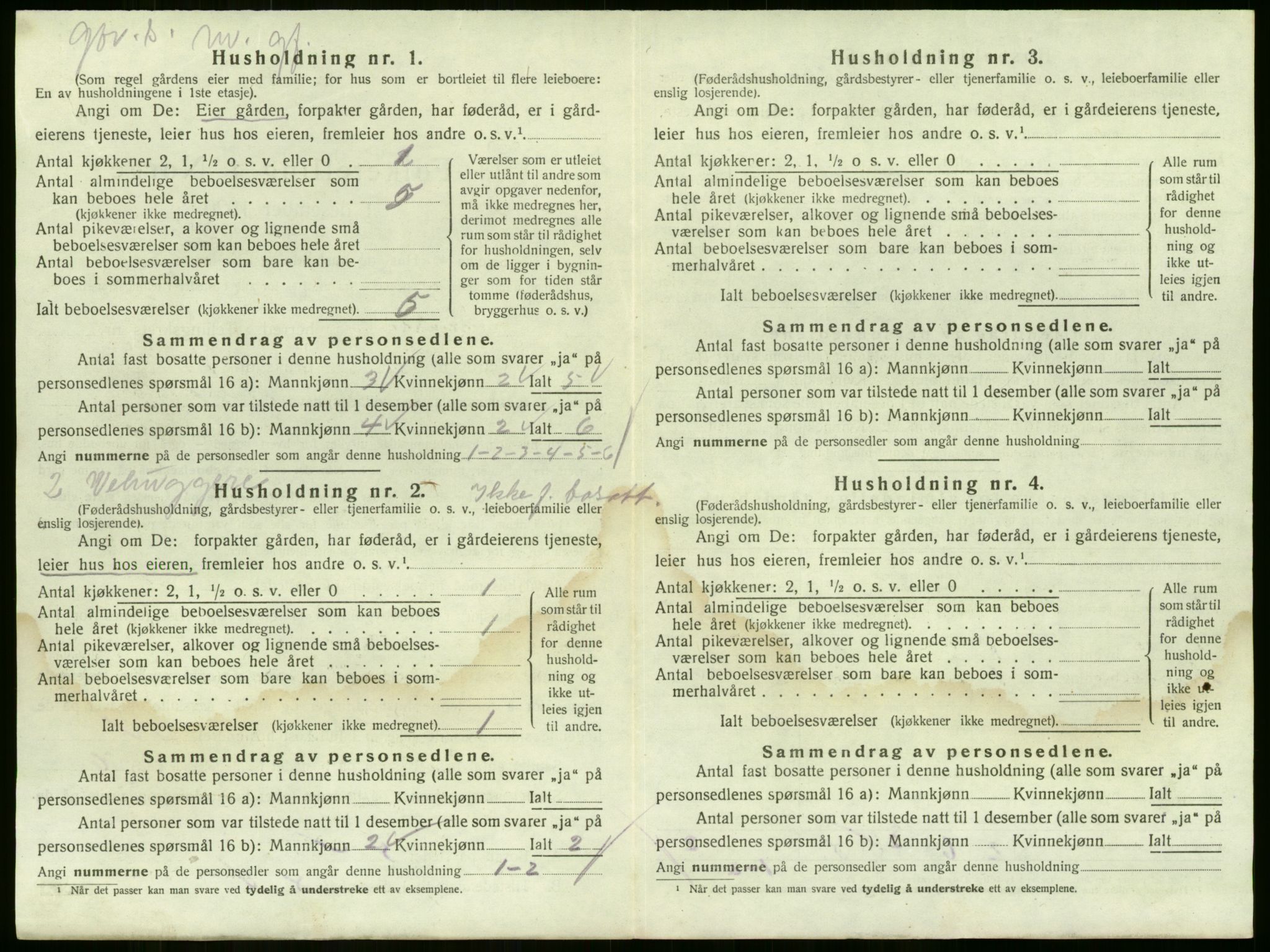 SAKO, 1920 census for Sande, 1920, p. 202